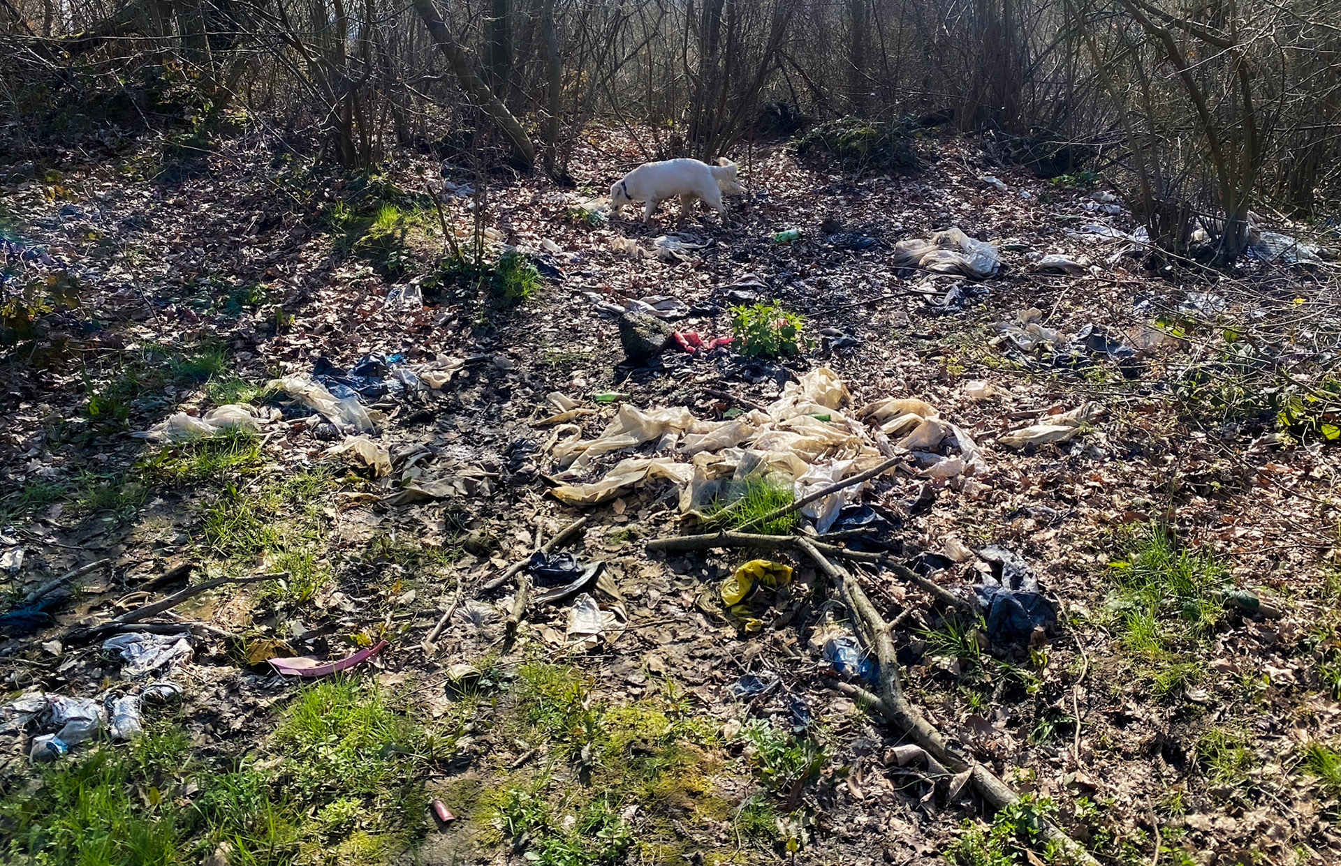 between Zerzevat and the Zerzevat stream valley: rubbish