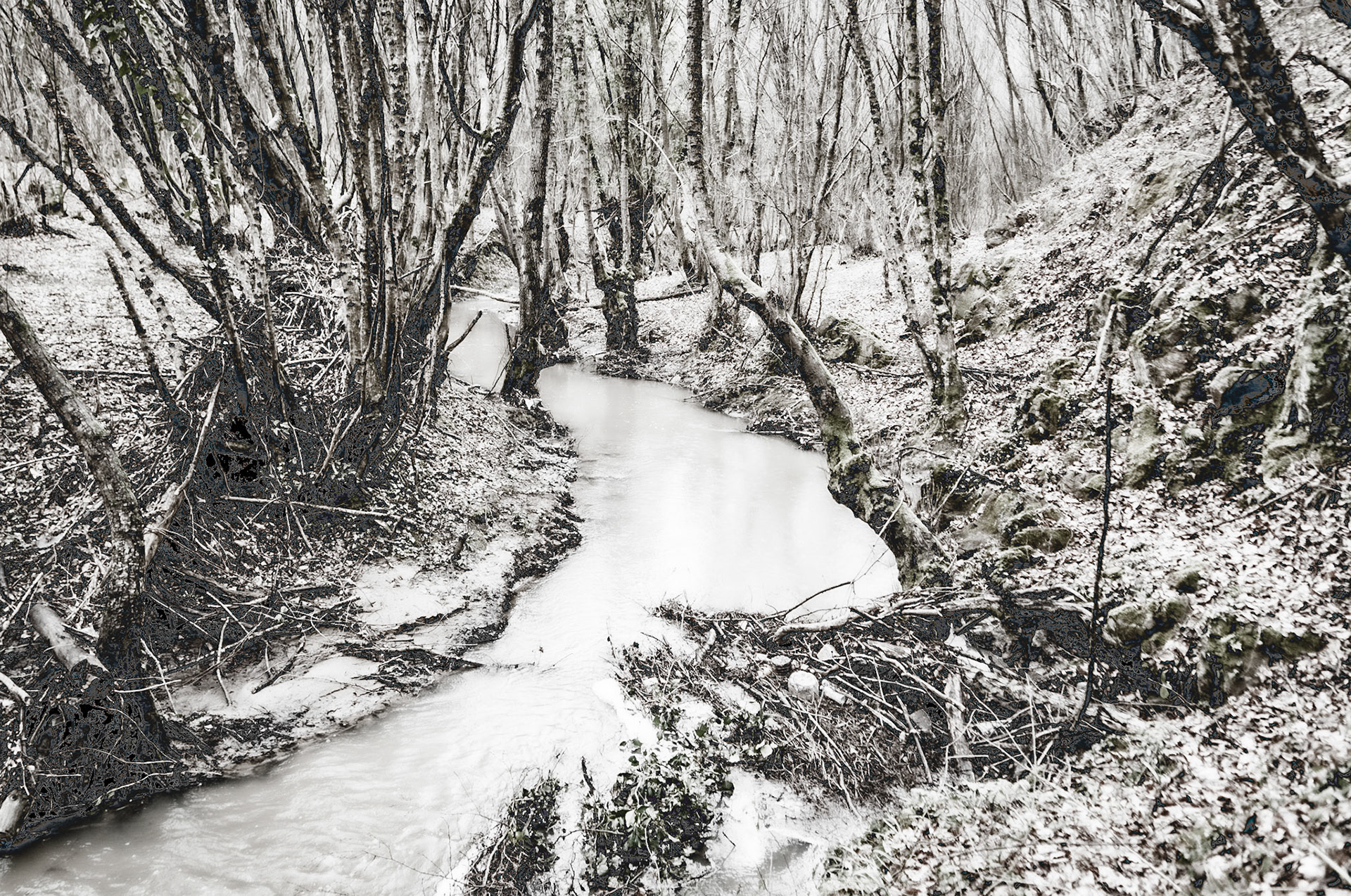 Kozu Deresi valleys: stream and trees