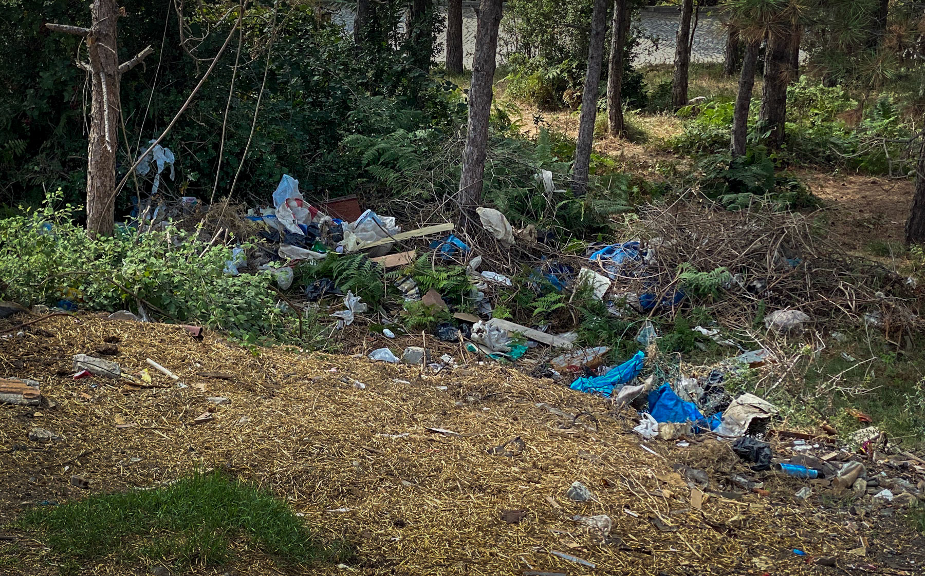 Gazi: rubbish dump