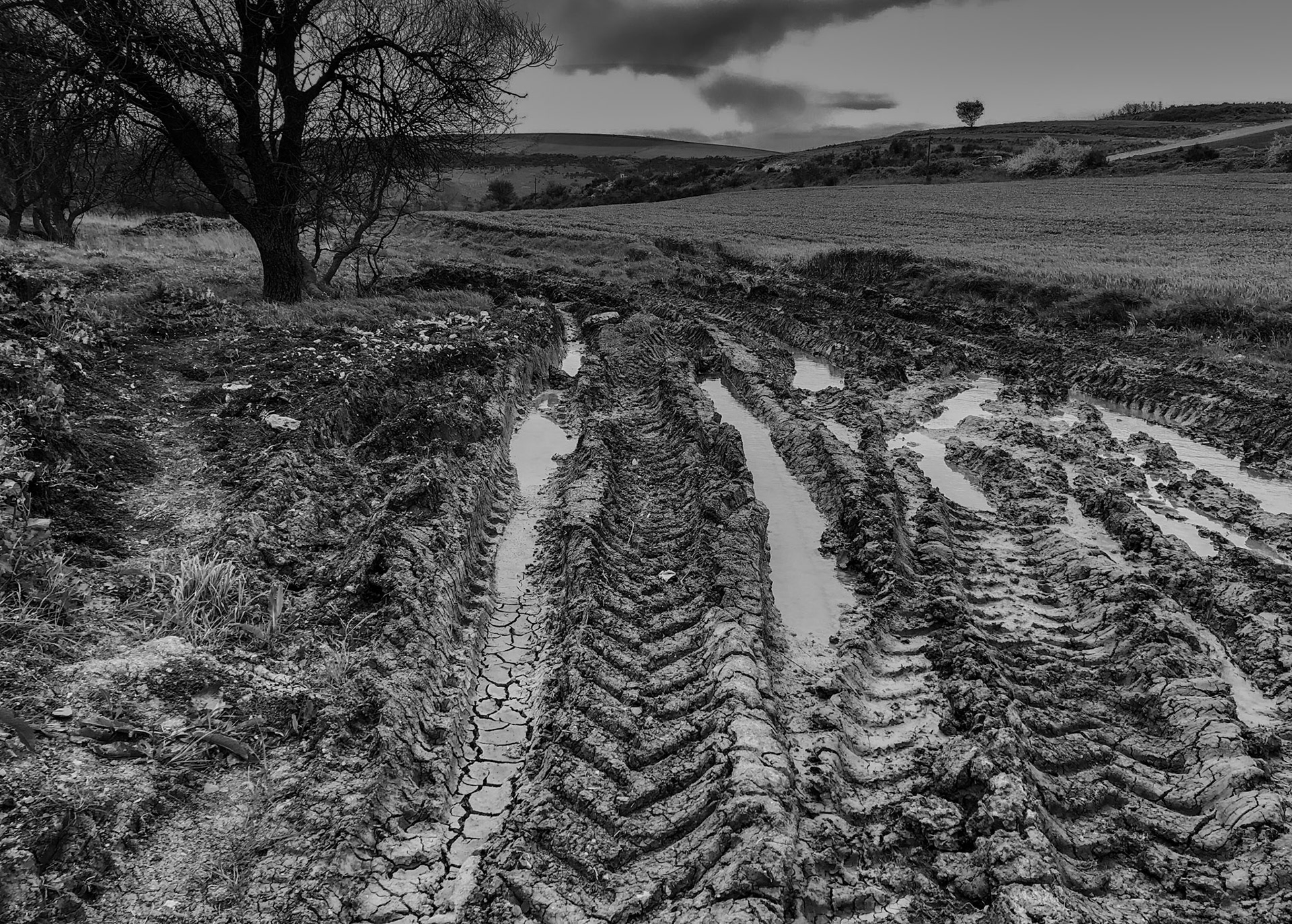 in the shallow Sazlıdere valley between Baklalı and Dursunköy: a muddy track