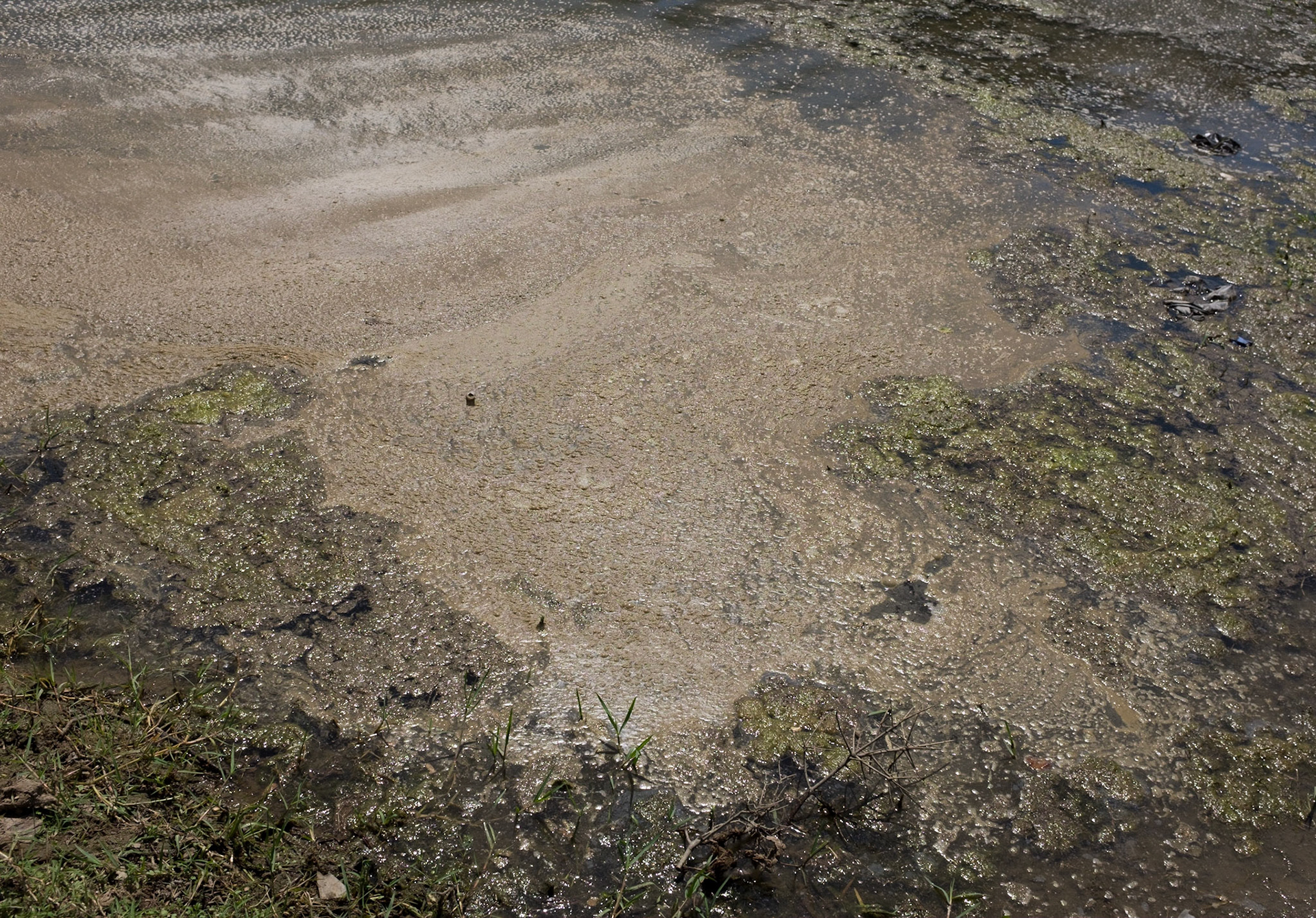 Alibey Reservoir: muddy water