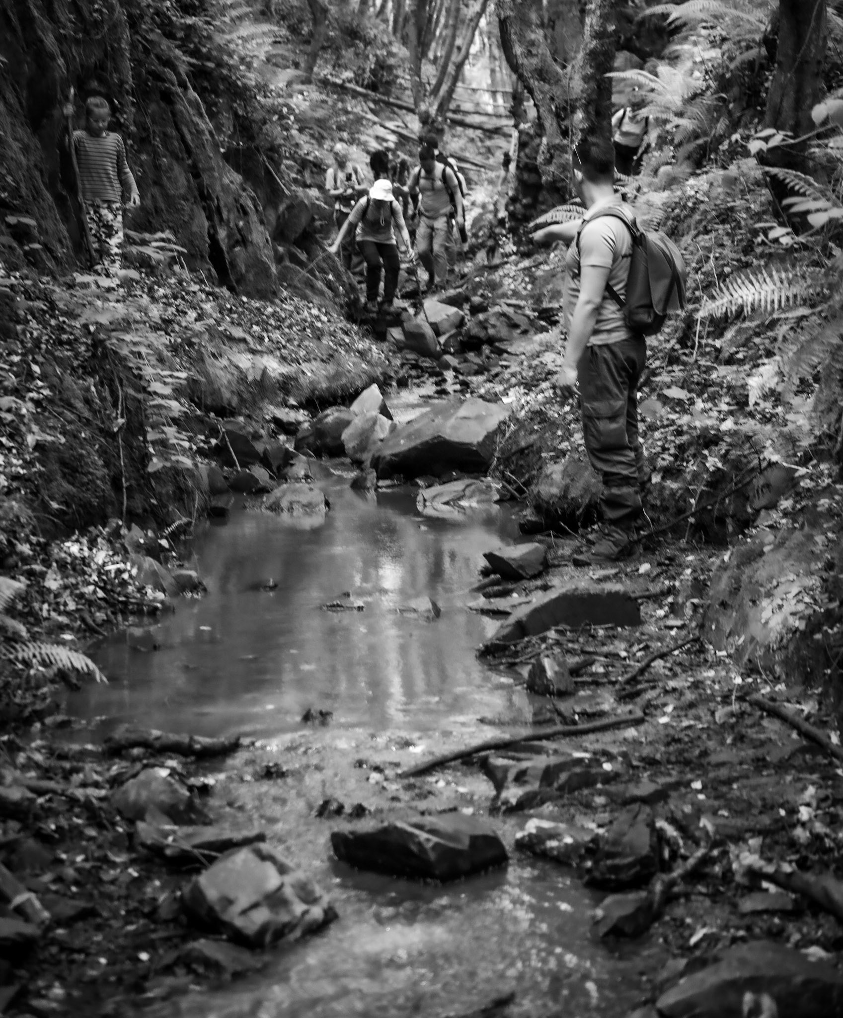 Zerzevatçı streamwalk: stream and hikers
