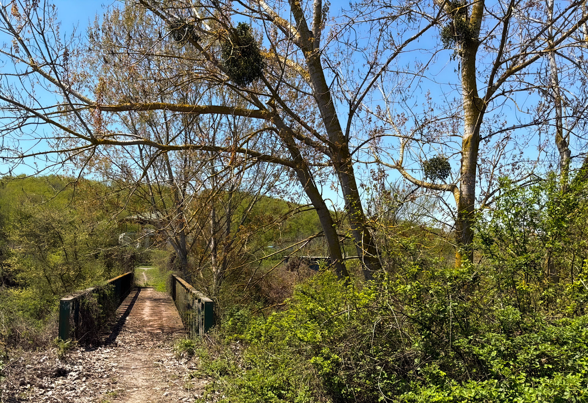 Hüseyinli western farm: Çayağız Deresi bridge