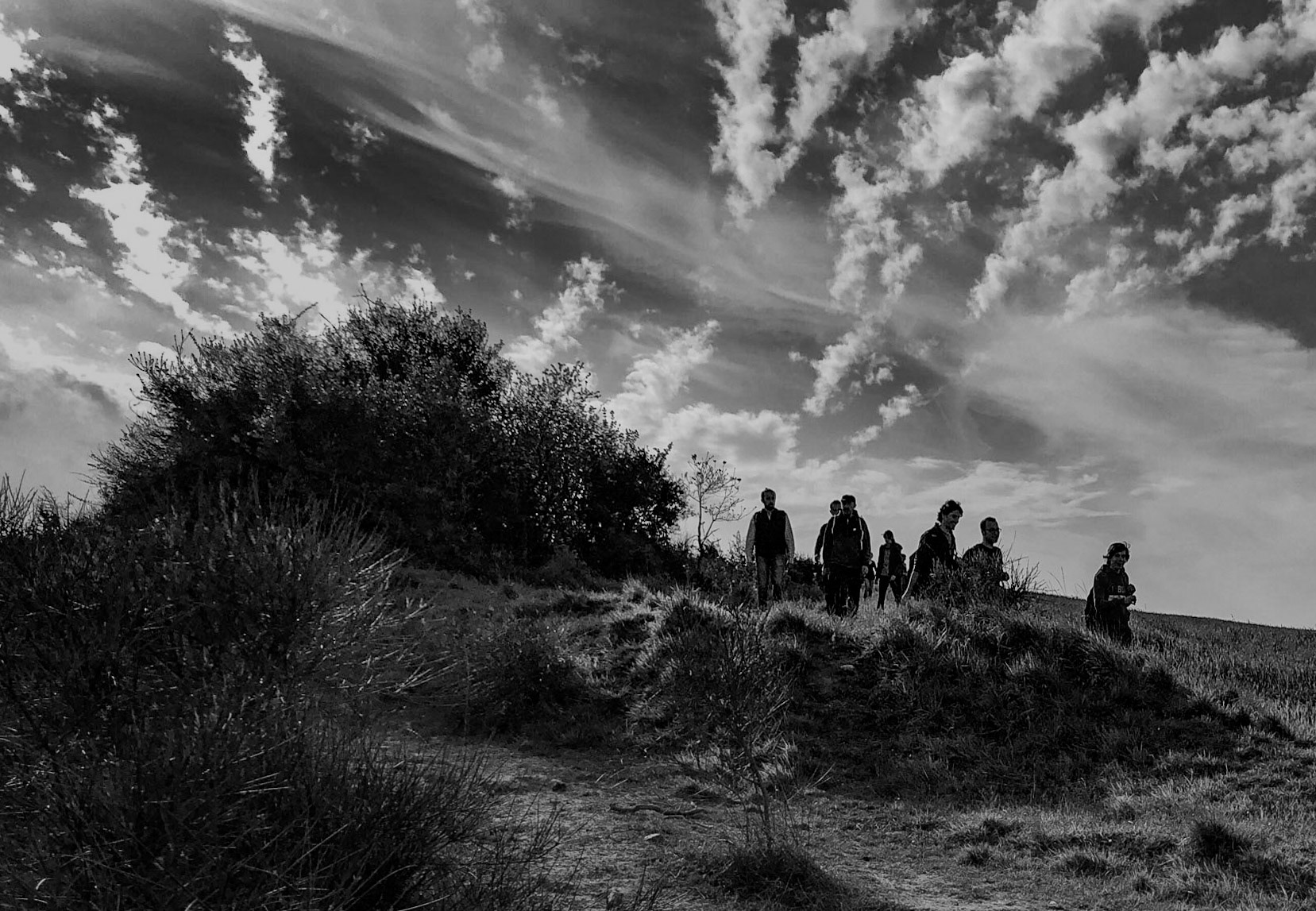 between Boyalık and Baklalı: coming down a meadow under the evening sky