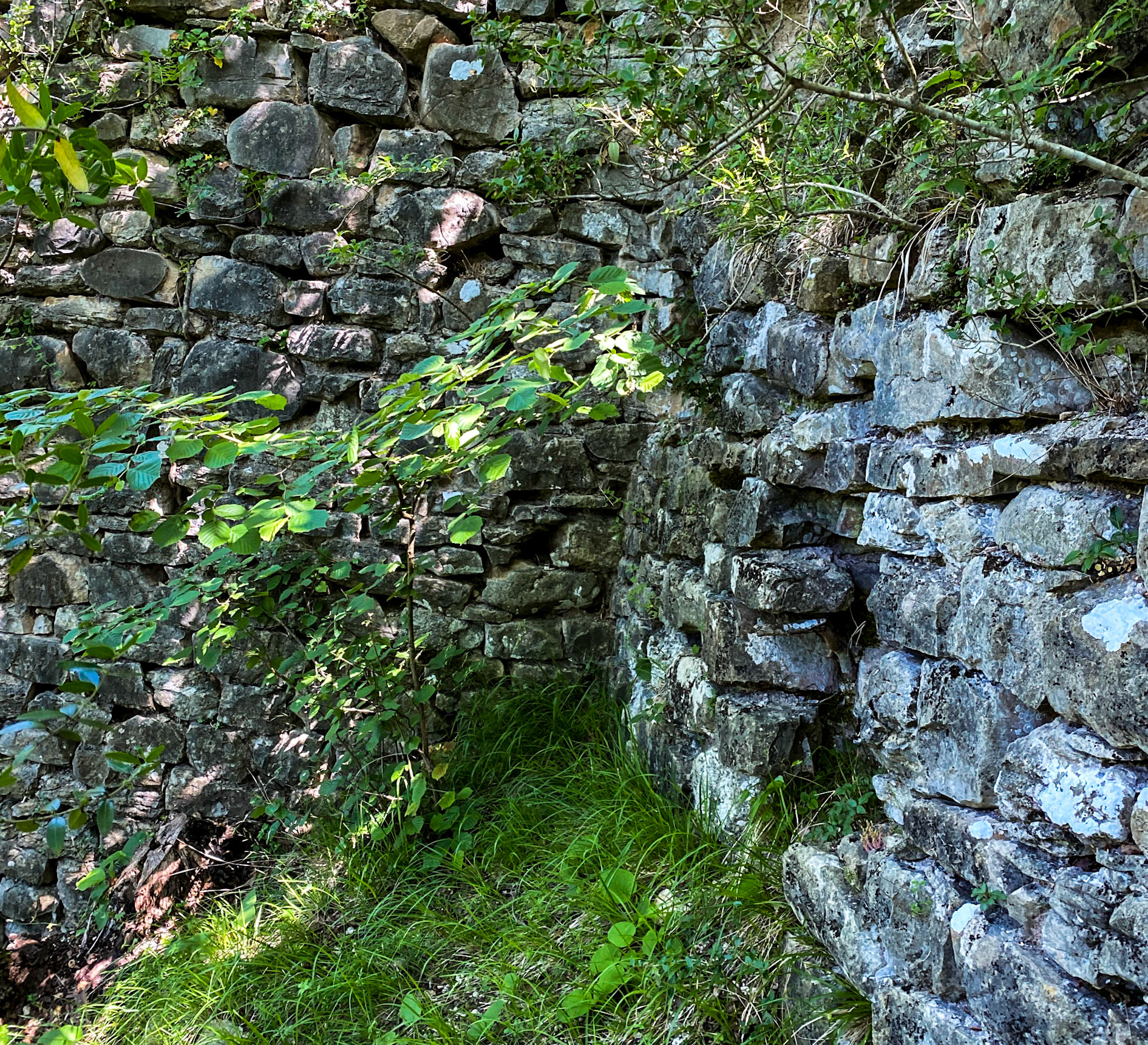 Sarıkavak castle: wall