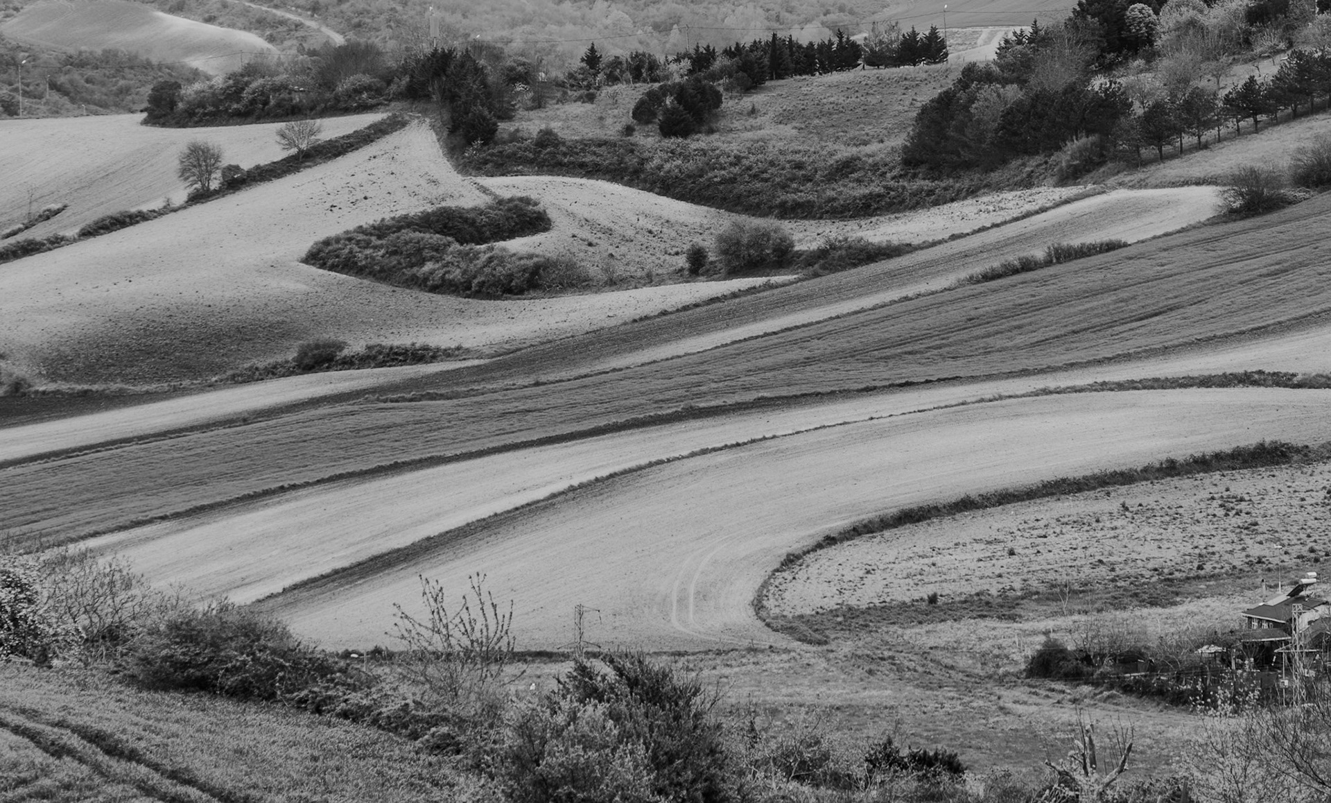 between Terkos and Boyalık: curving fields