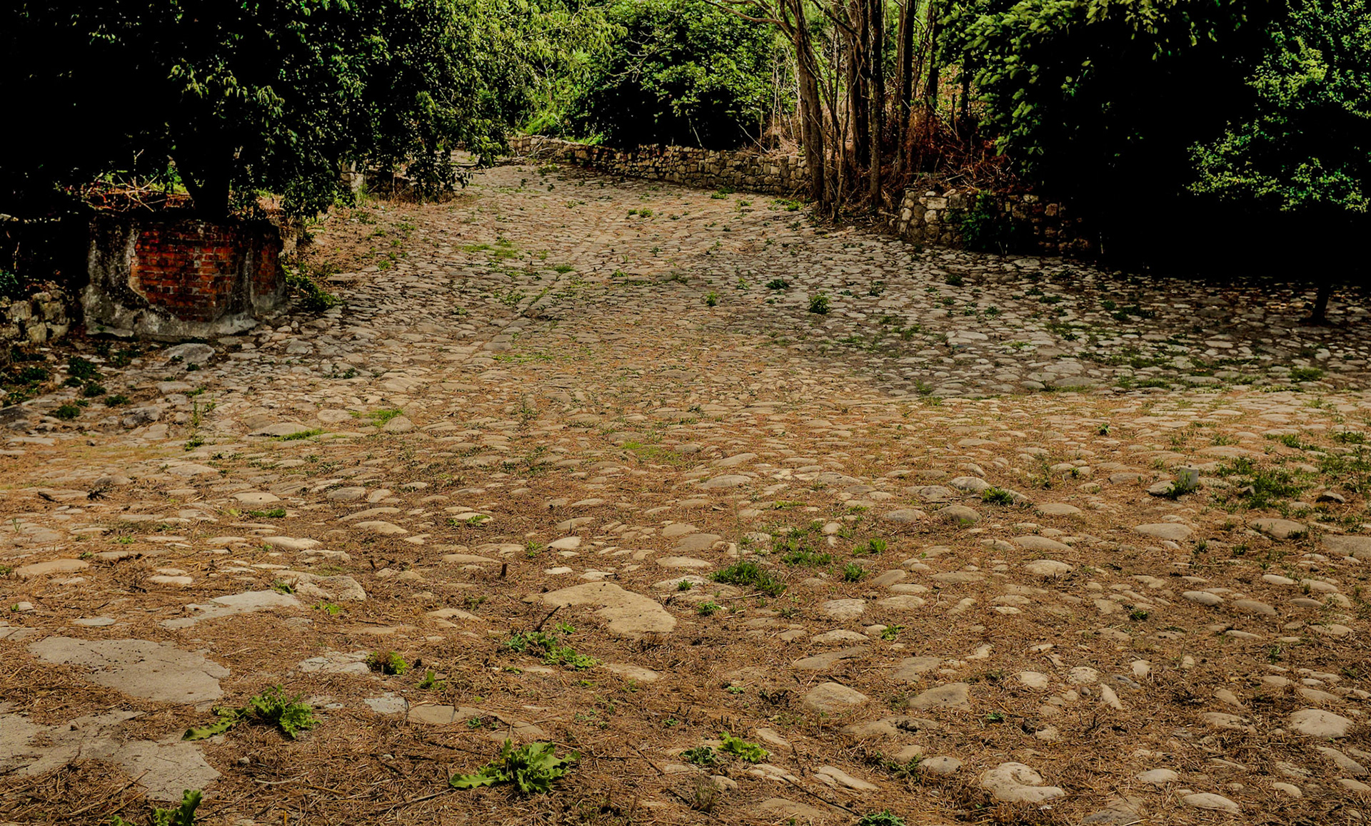 Bathonea south: an ancient road (Via Eurasia...)