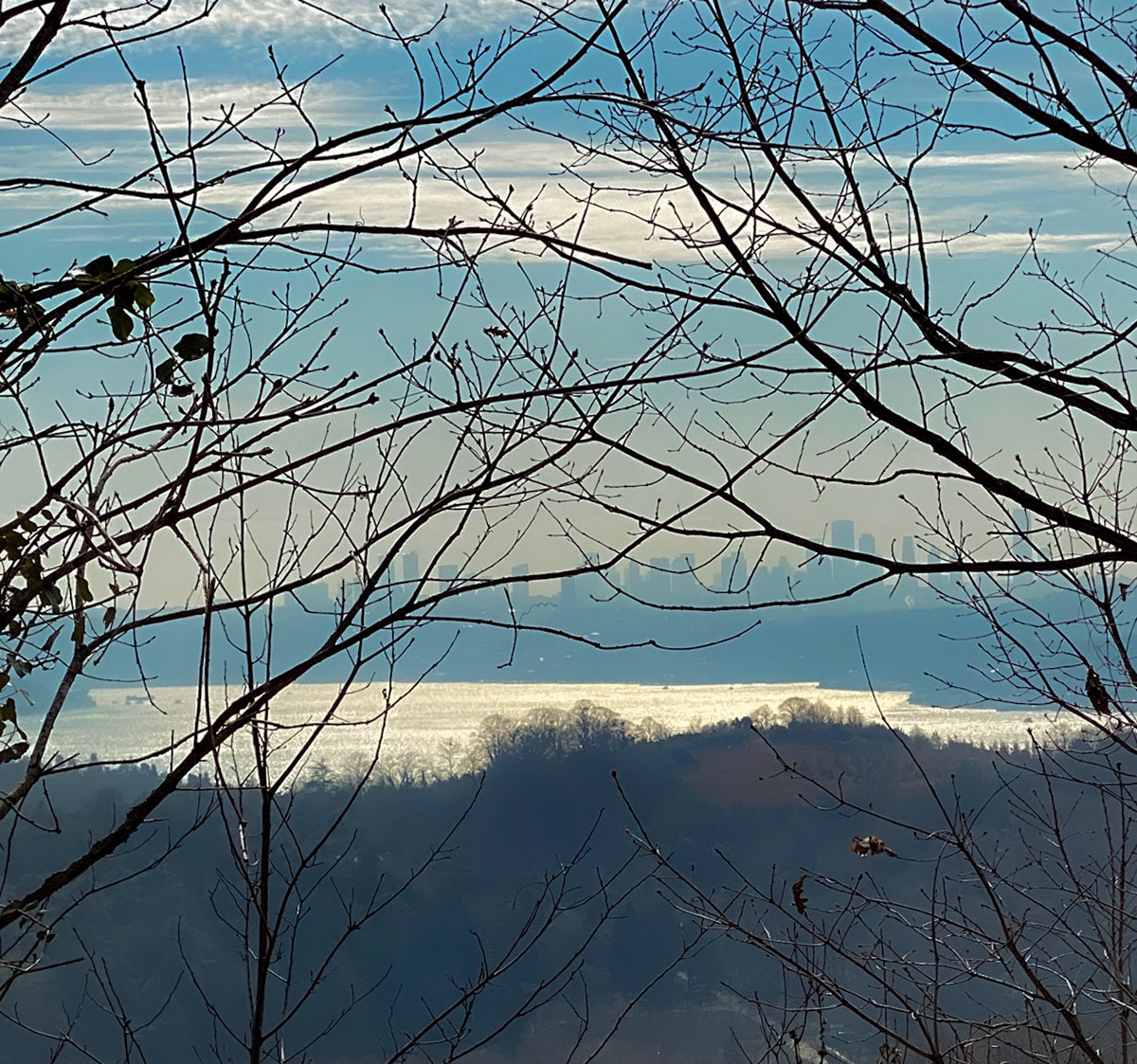 Kaymakdonduran woods: view southwest