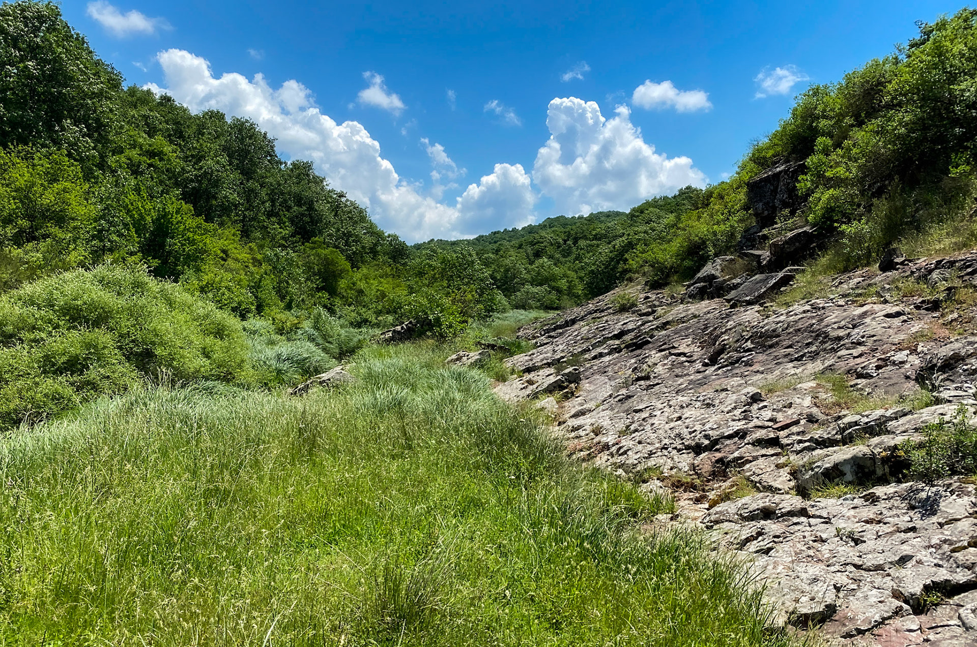 Sığırlık gorge: view
