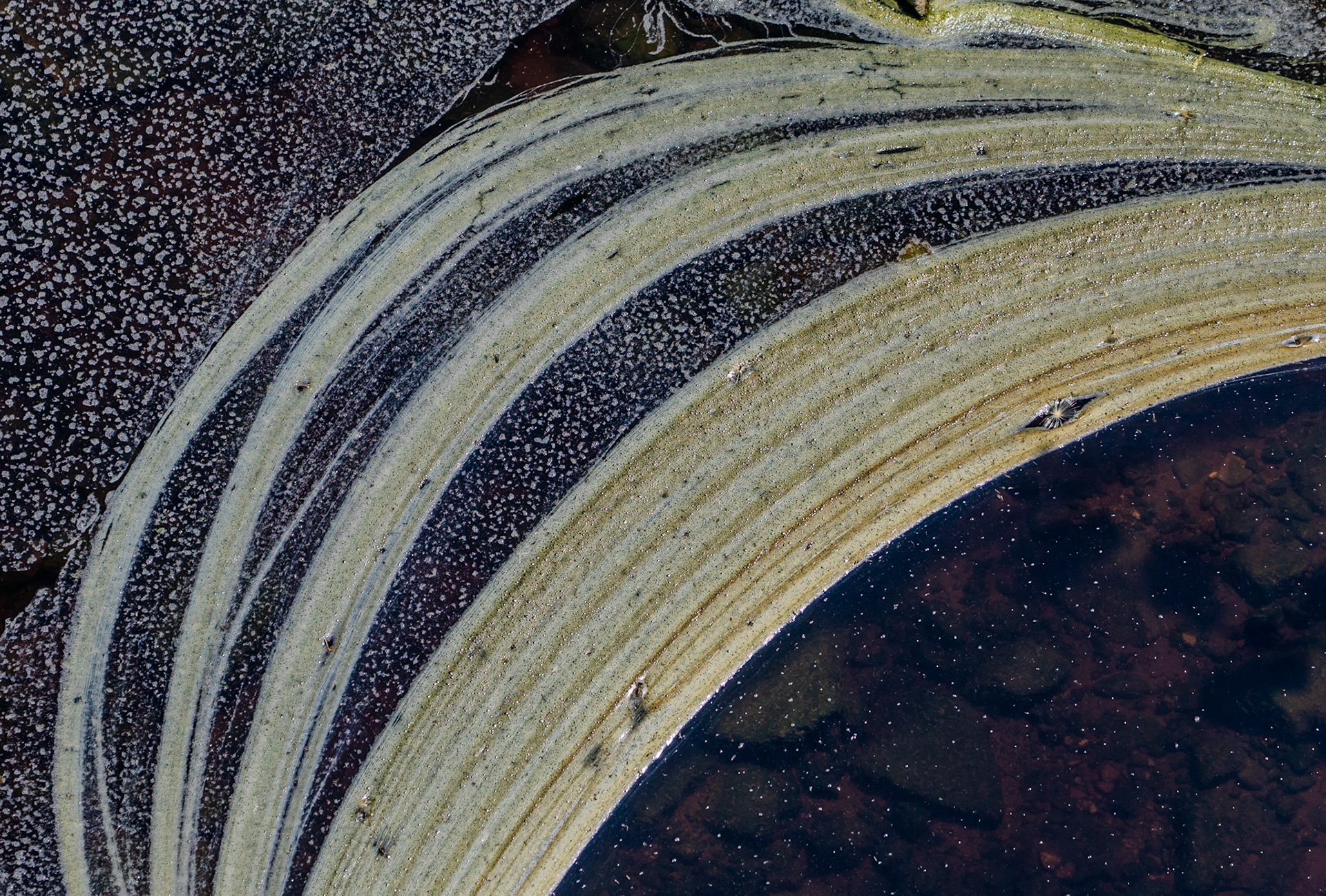 the Değirmendere: swirls of scum