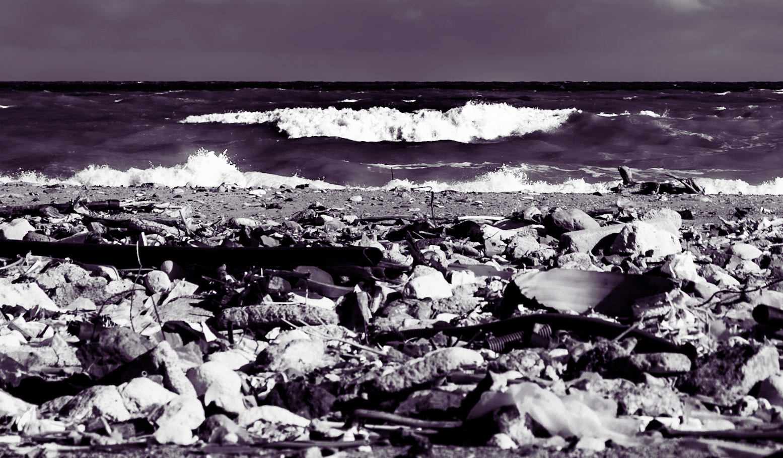 Black Sea coast east of Yeniköy: flotsam, stones and sea