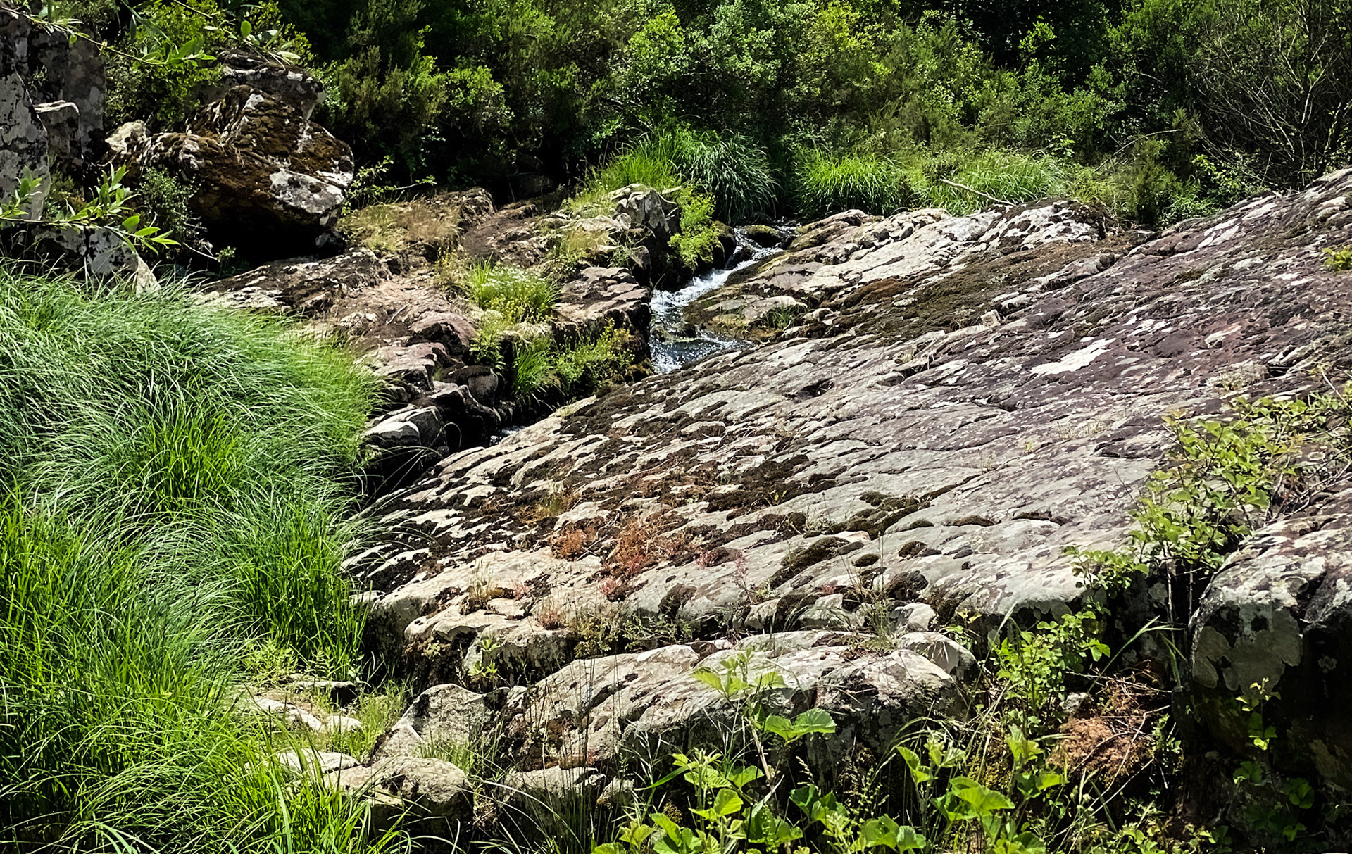 Sığırlık gorge: exposed rock