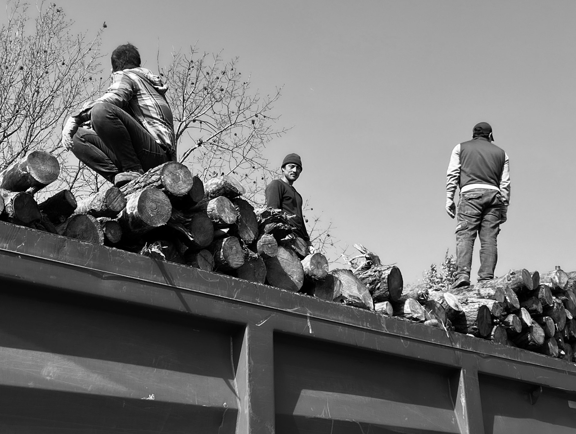 KYK wood: loading logs