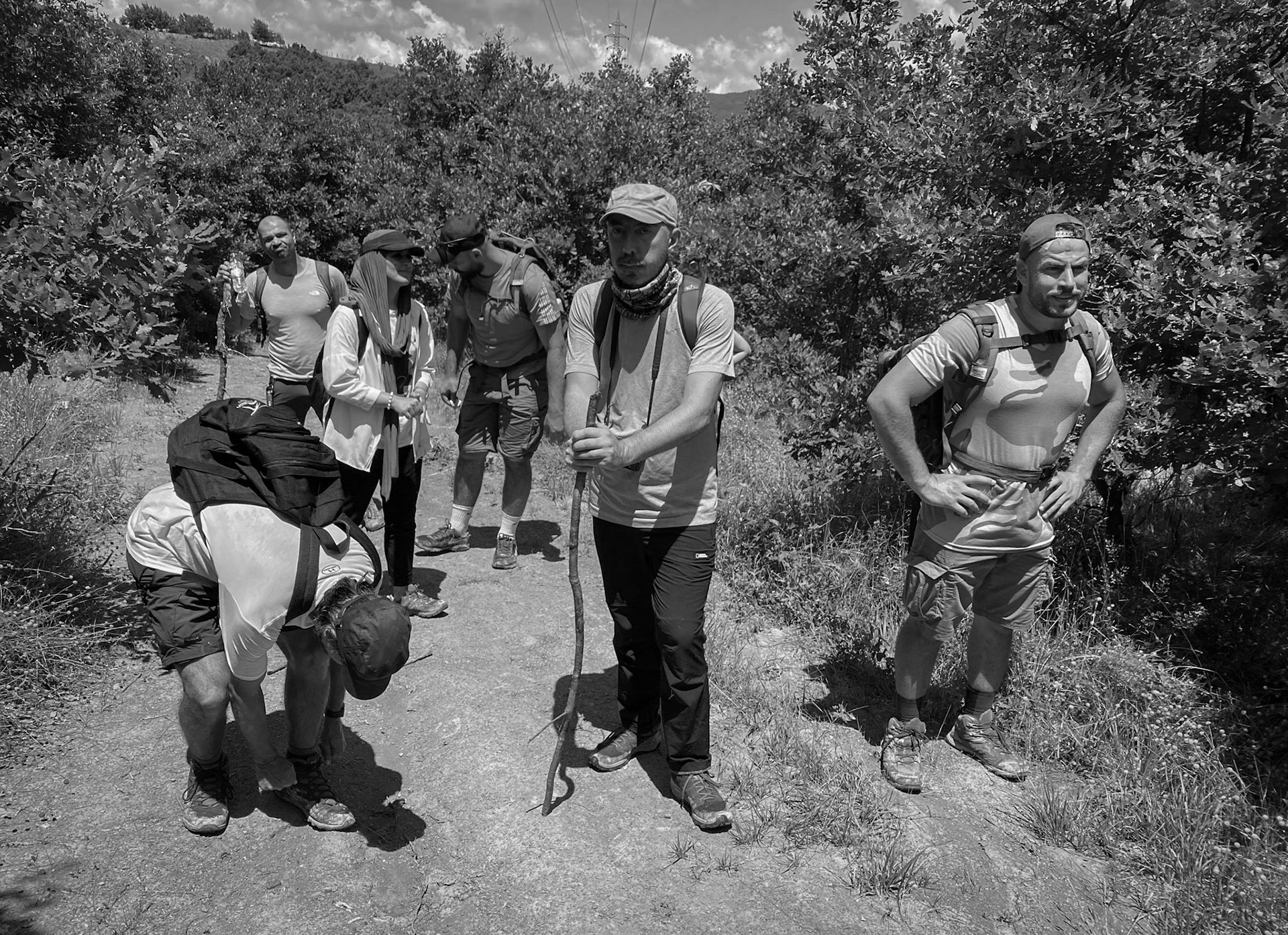 Kanlı forest: a pause on a track