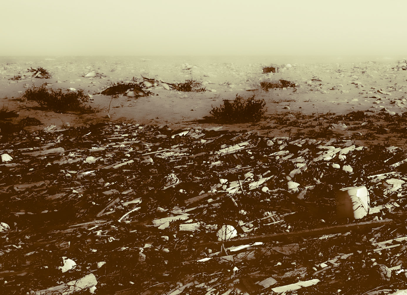 Black Sea coast east of Yeniköy: abstracted flotsam