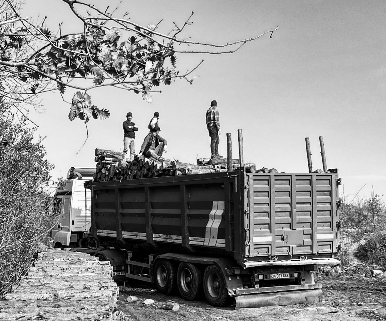 KYK wood: loading logs