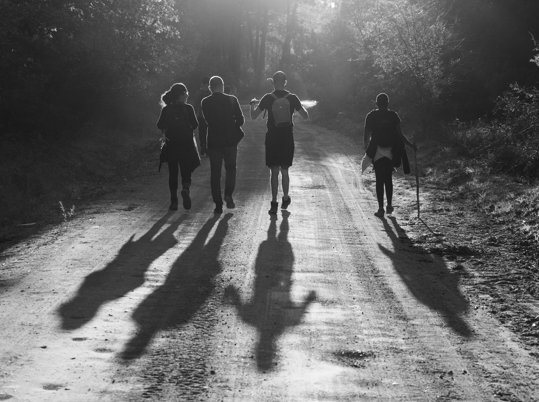 Kurna forest: walking towards the sun