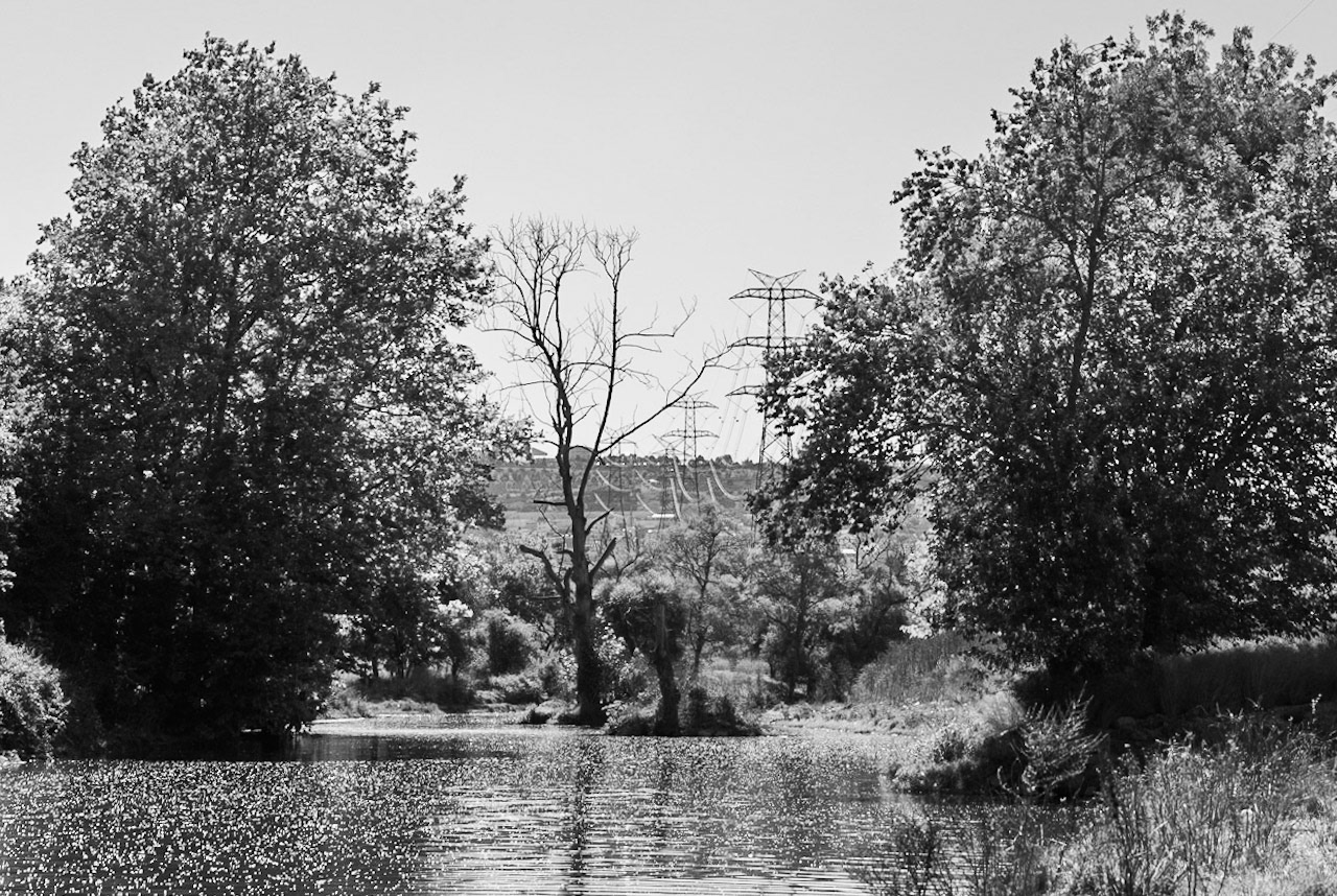 Ayazma river: trees and pylons