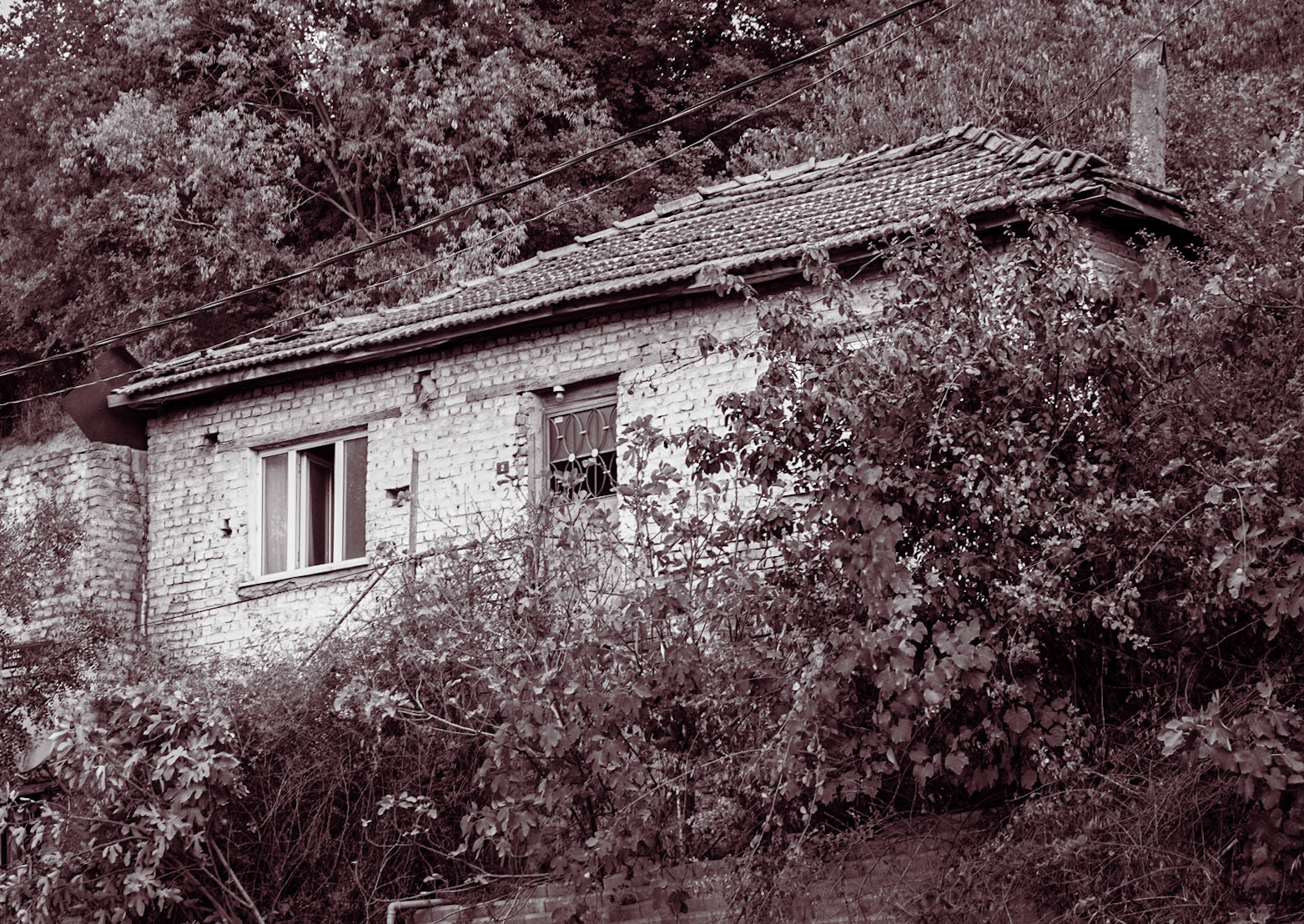 Cebeci: house