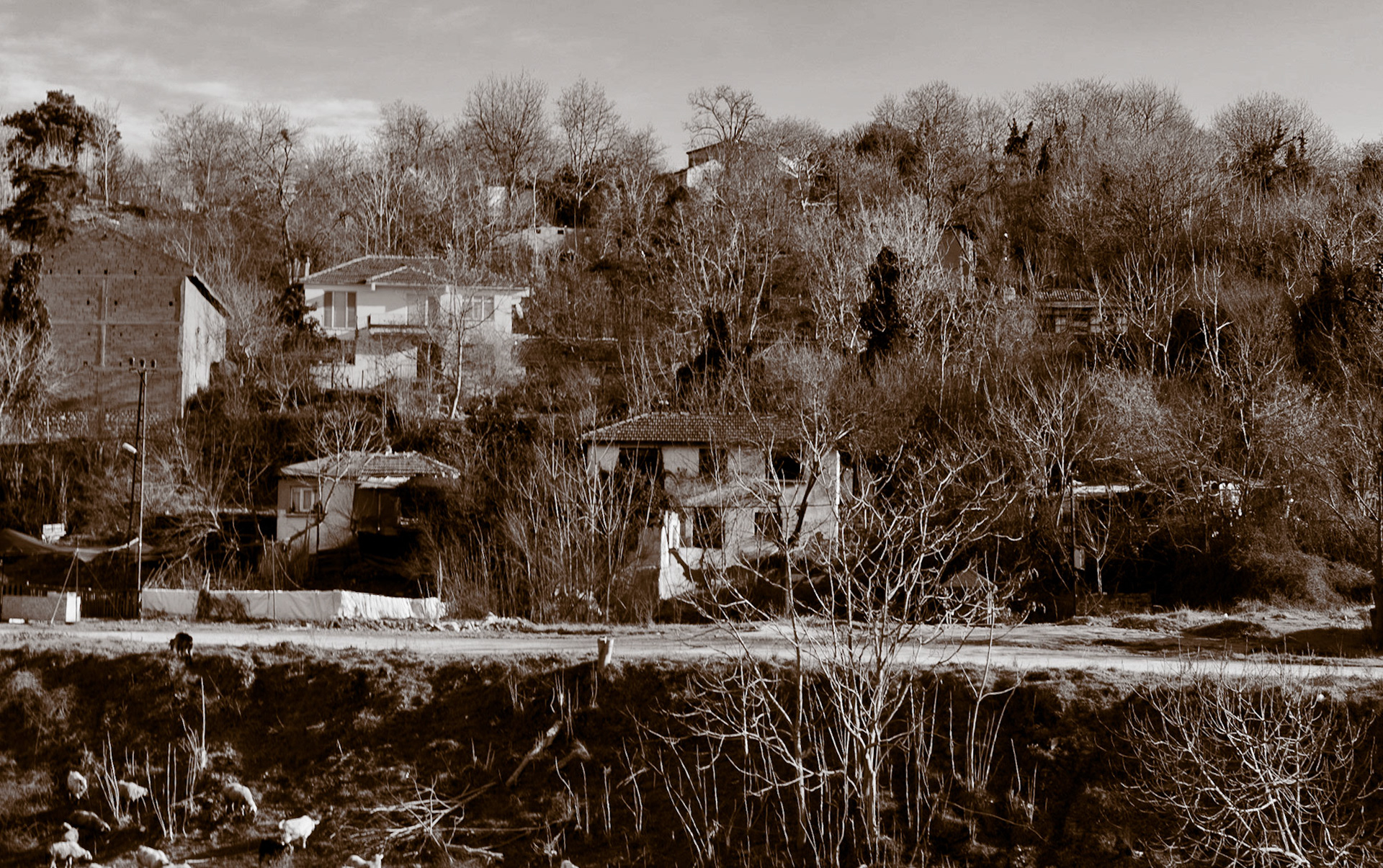 Şamlar: seen from the southwest