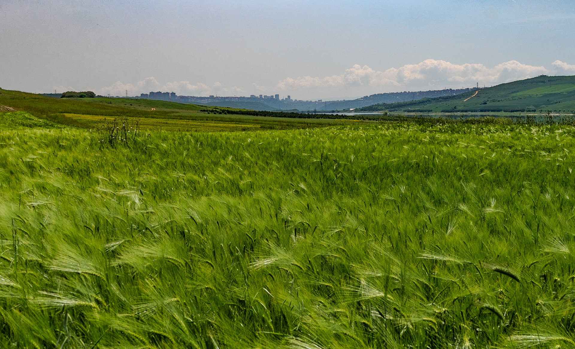 Filiboz: the view west from the base of Kocabayır Hill