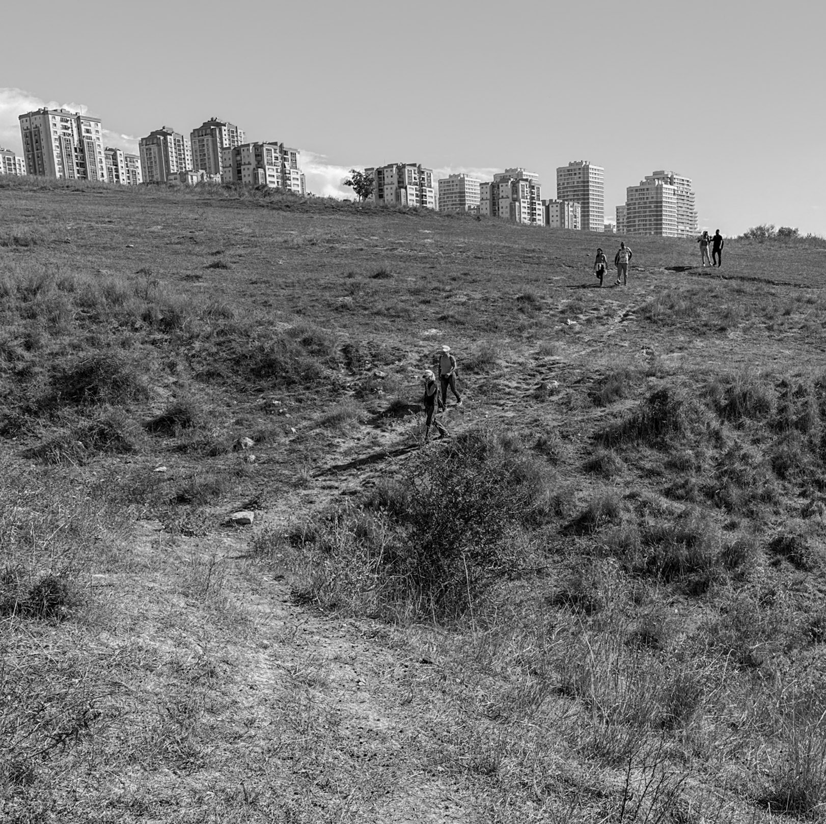 Spradon: walking down a grassy slope