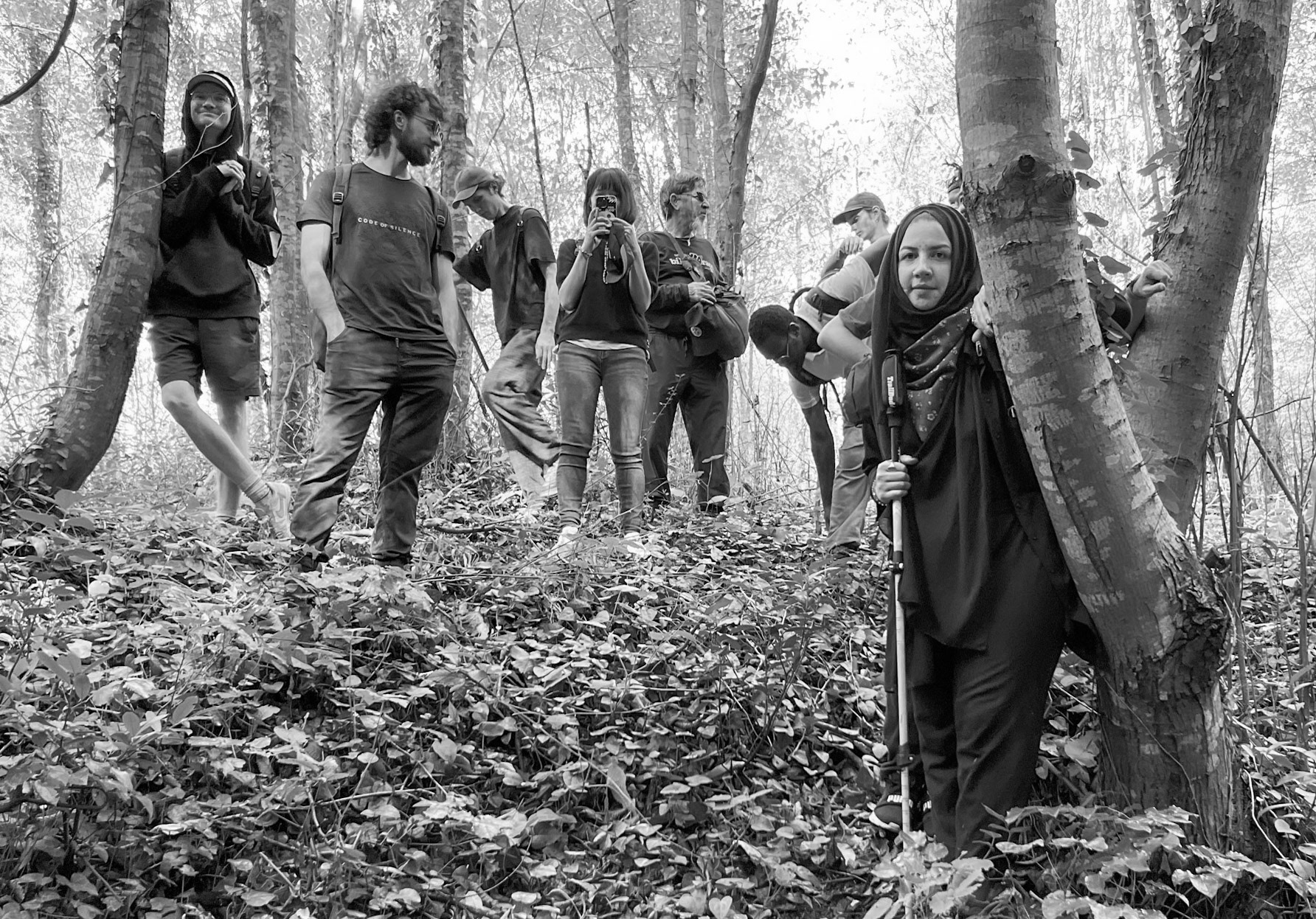 Paşamandıra forest: hikers