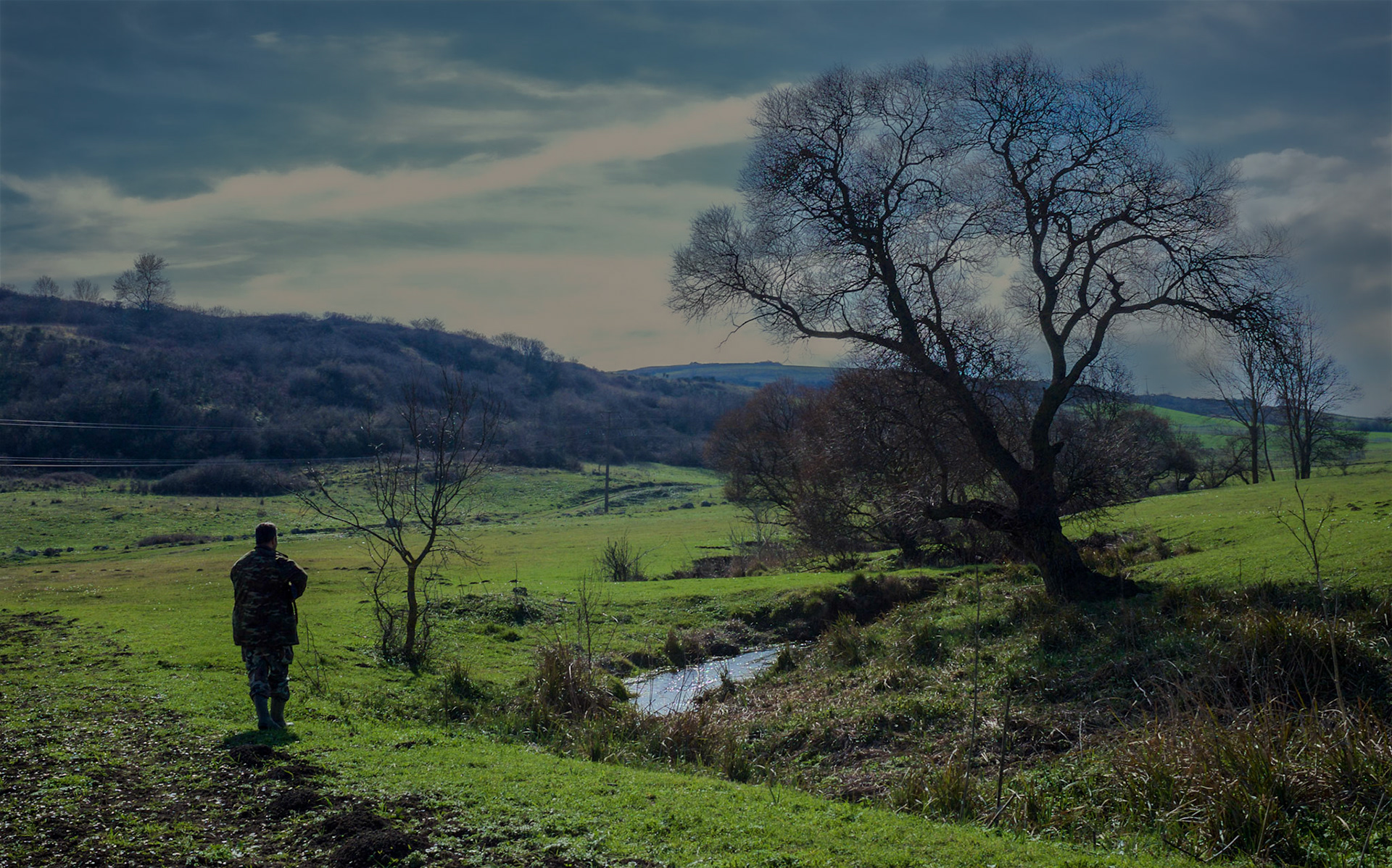 in the shallow Sazlıdere valley between Baklalı and Dursunköy: a surly bird-hunter