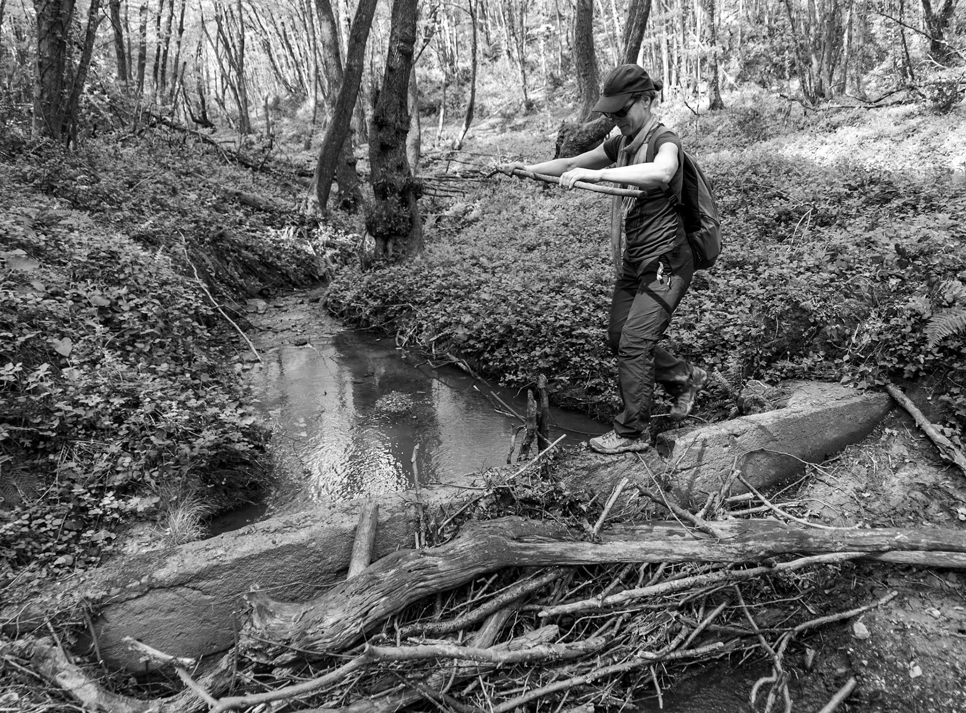 Polonezköy SW forest: stream crossing