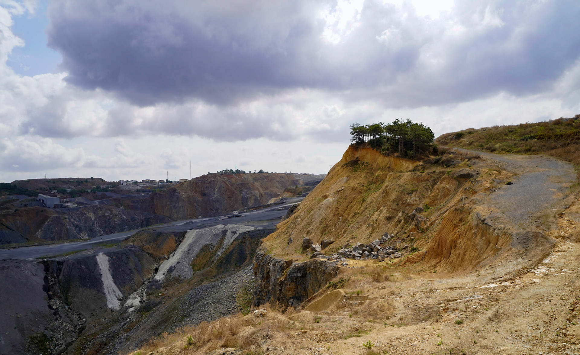Cebeci: last redoubt of trees