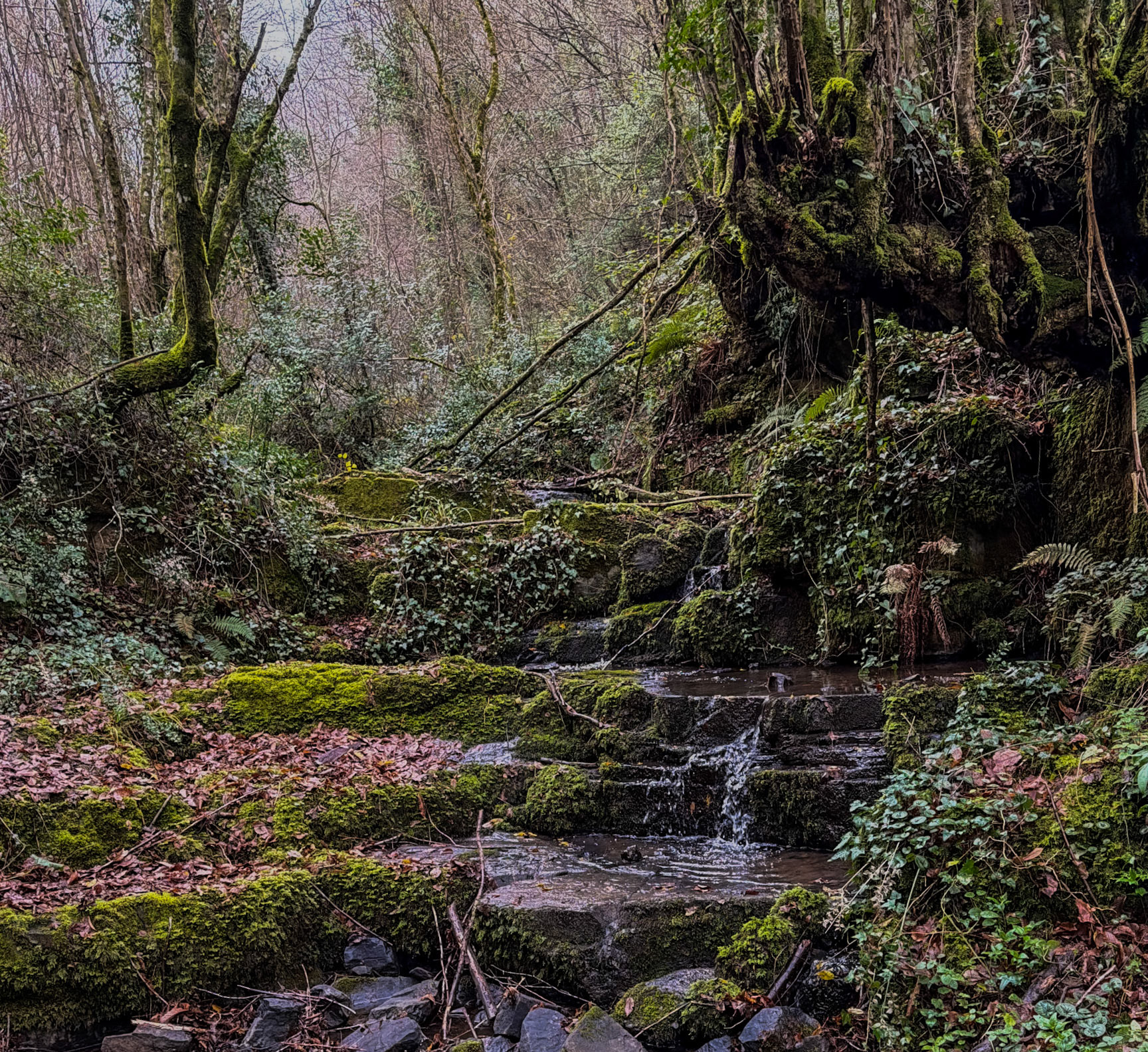 Ayhan Şahenk double stream walk: Middle Earth in all its splendour
