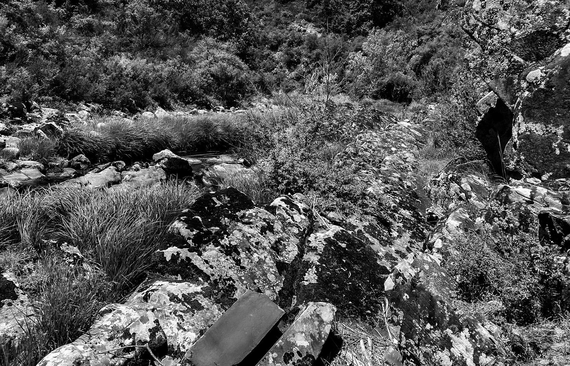 Sığırlık gorge: view