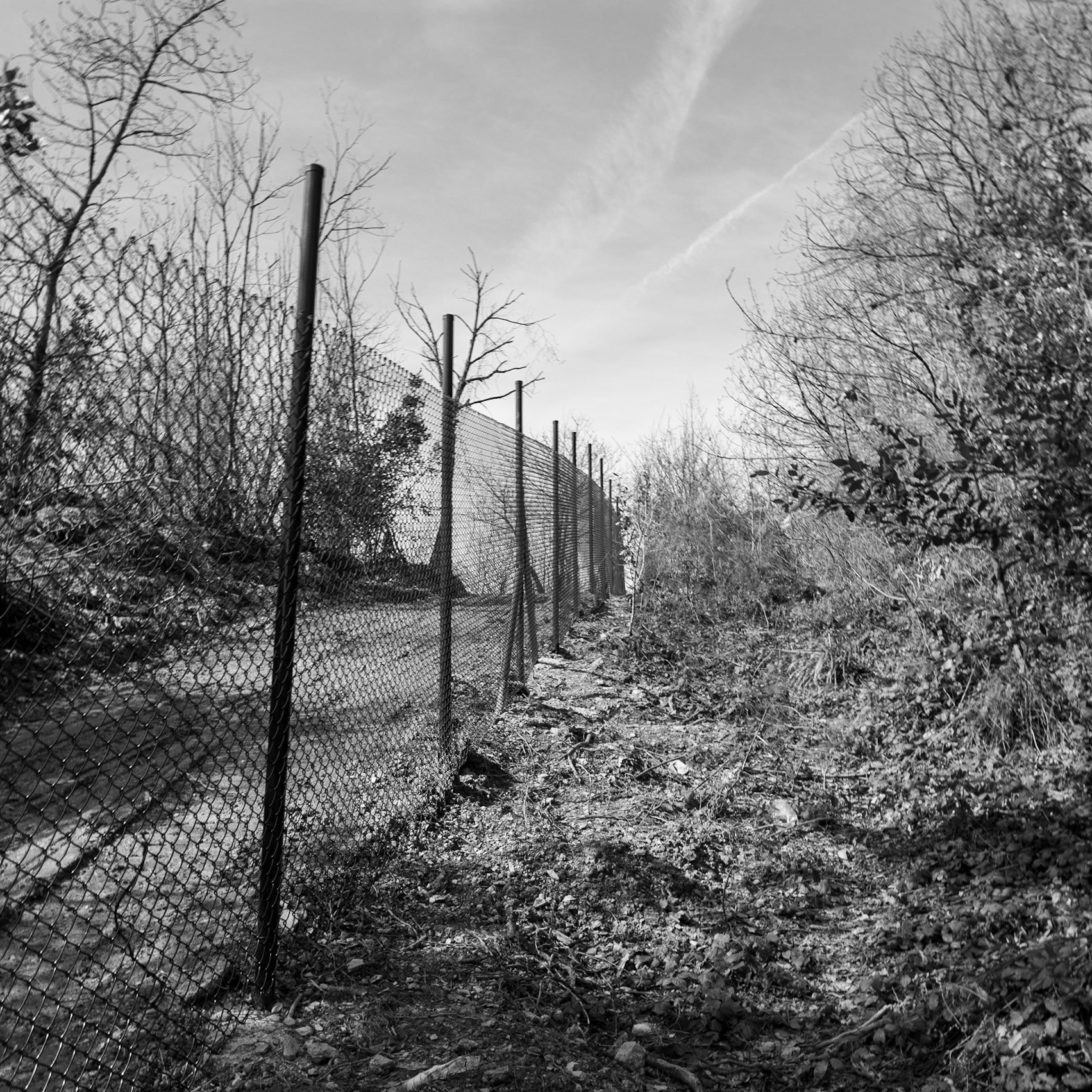 Kaymakdonduran woods: northern fence