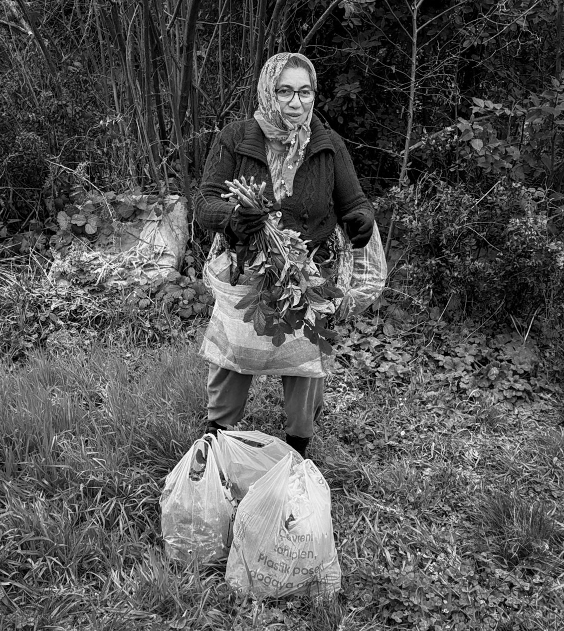 Dereseki forest traverse: before the beeline descent we pass a mostly-happy group of local women gathering plants and herbs
