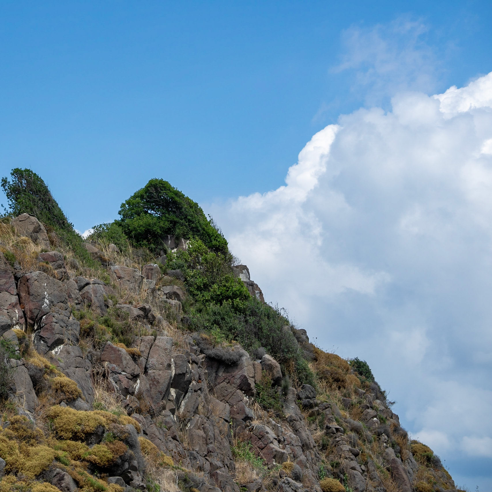 Karaburun basalt rock formations: the nose