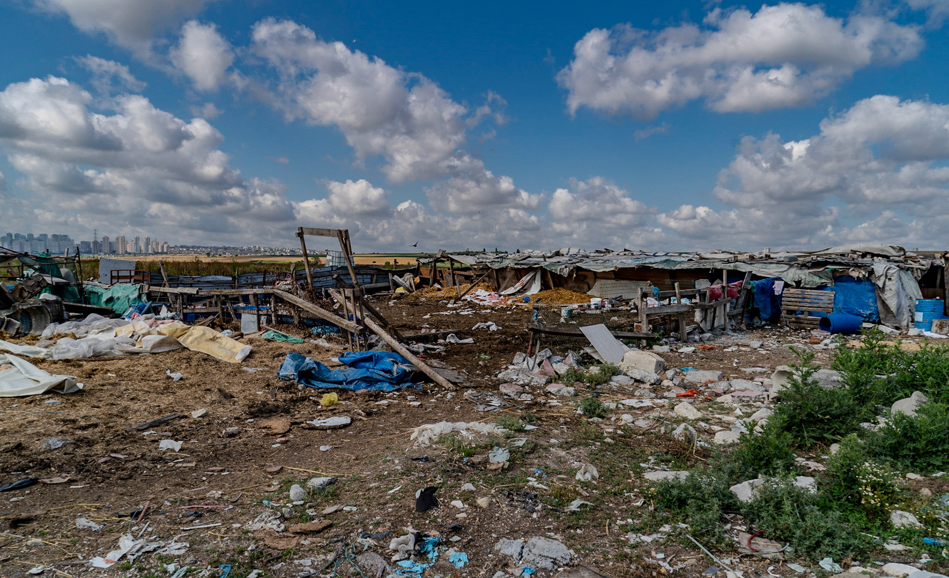 Küçükçekmece's southwestern marsh: an extremely shabby farm