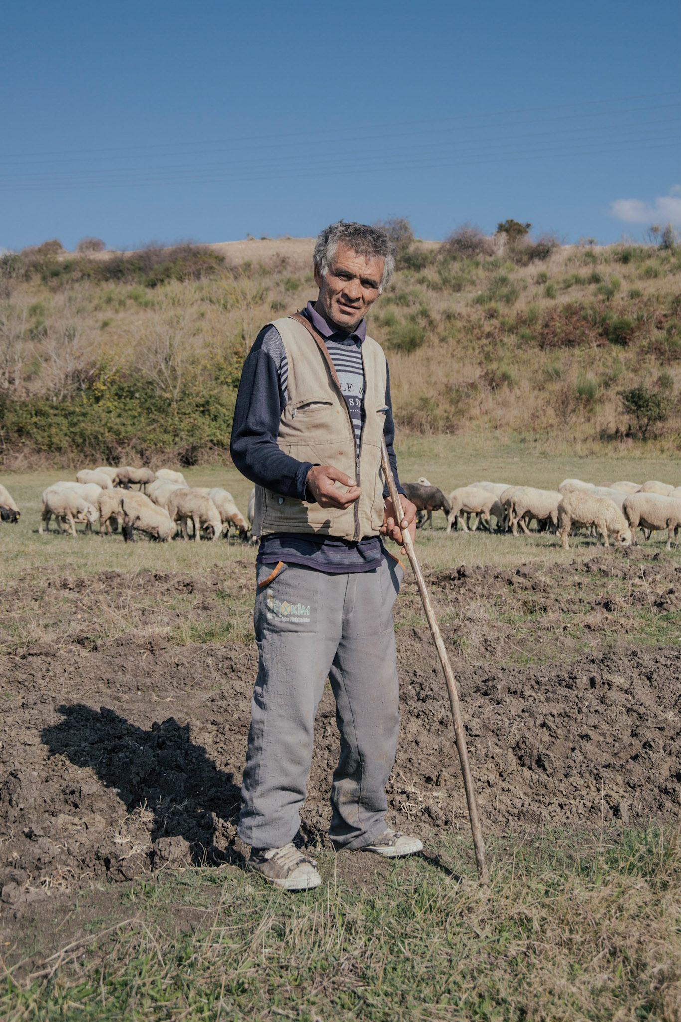 Yeniköy: a cheery shepherd and some of his sheep