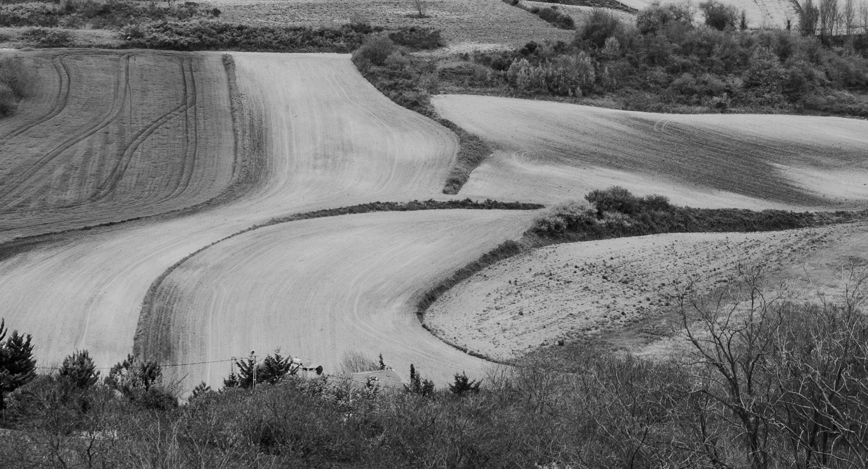 between Terkos and Boyalık: curving fields