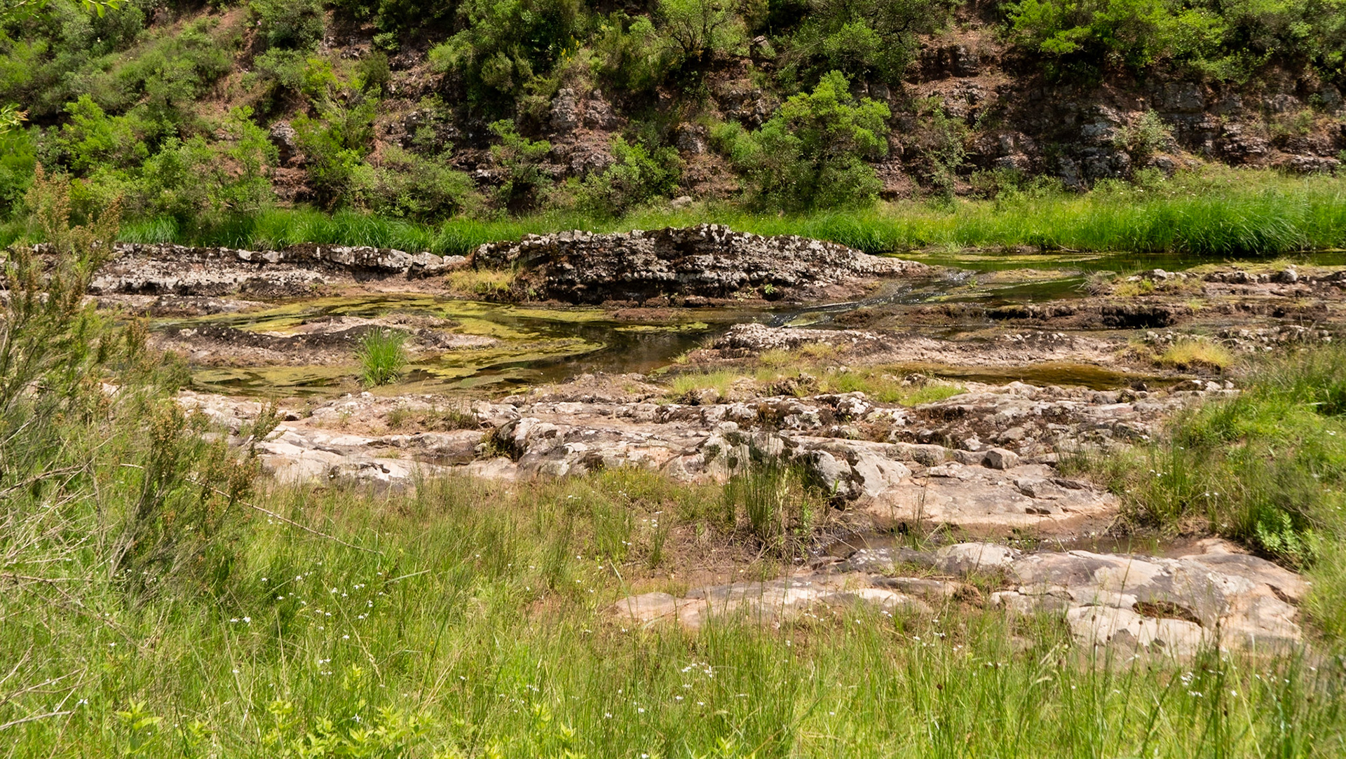 Sığırlık gorge: crocodile rock