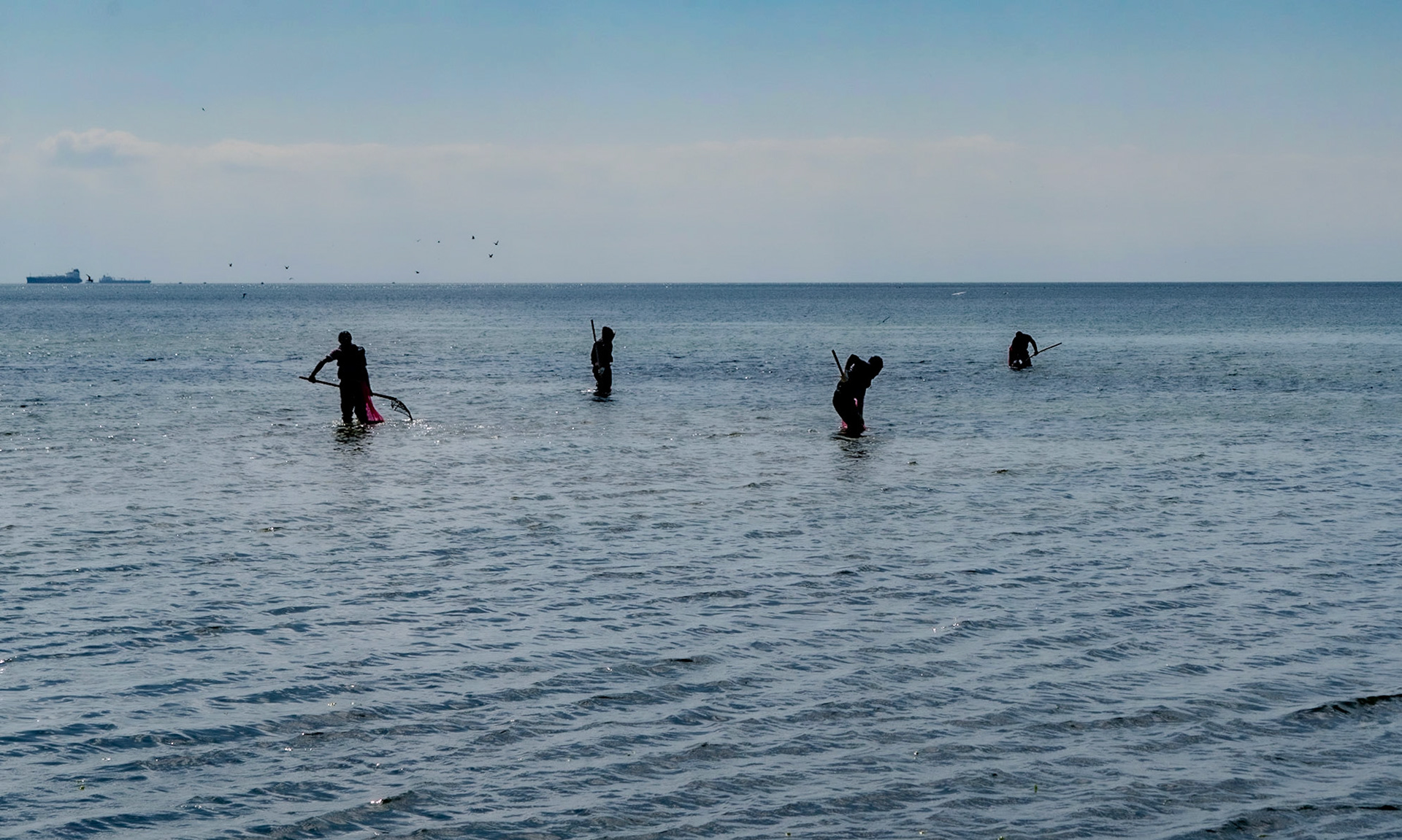 Küçükçekmece: 4 mussel gatherers near Menekşe beach