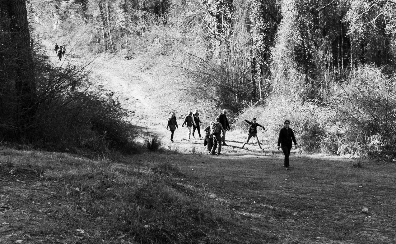between Snowdrop woods and İmrahor swamp: on track in the forest
