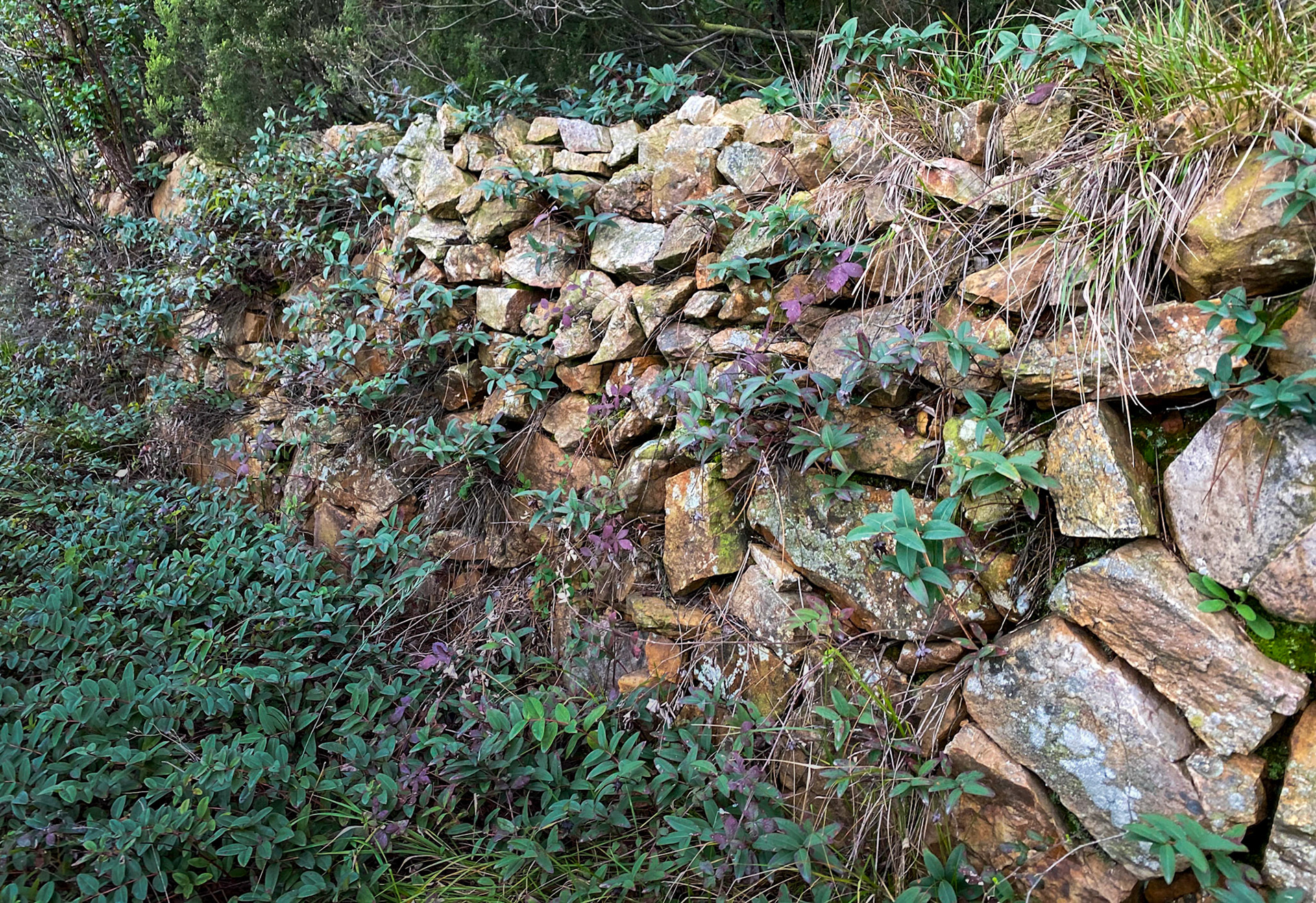 Adadaǧ hills: an old terrace wall