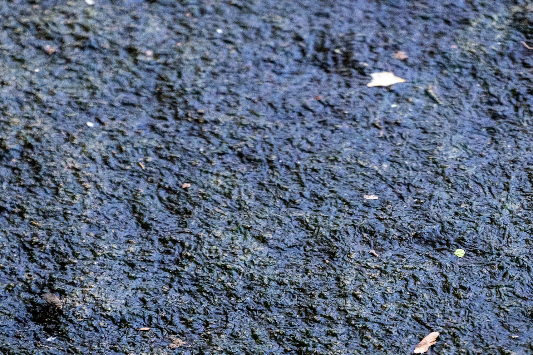 Paşaköy gorge: blue slime