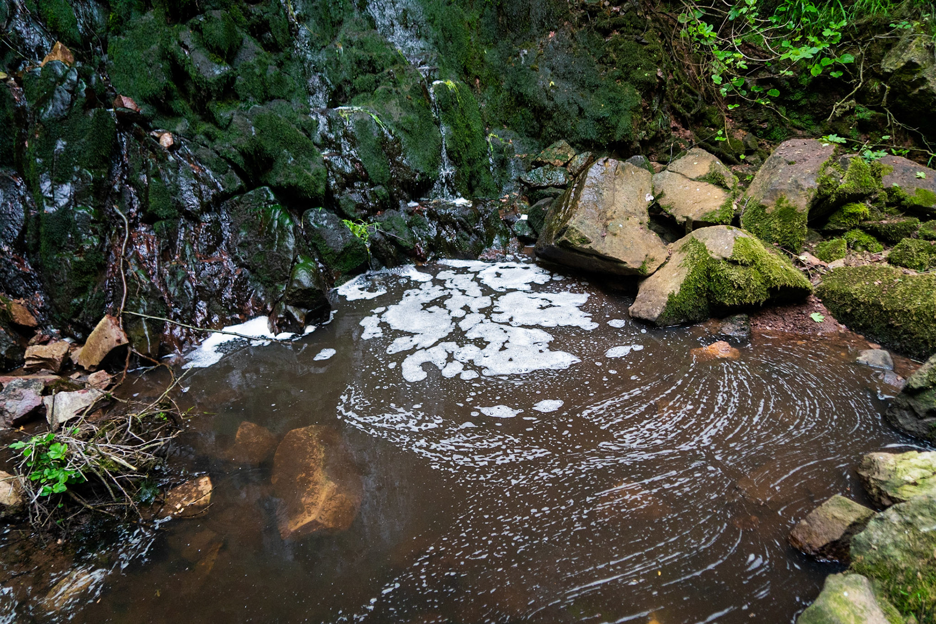 Şarlak waterfall: foamy (polluted?) pool