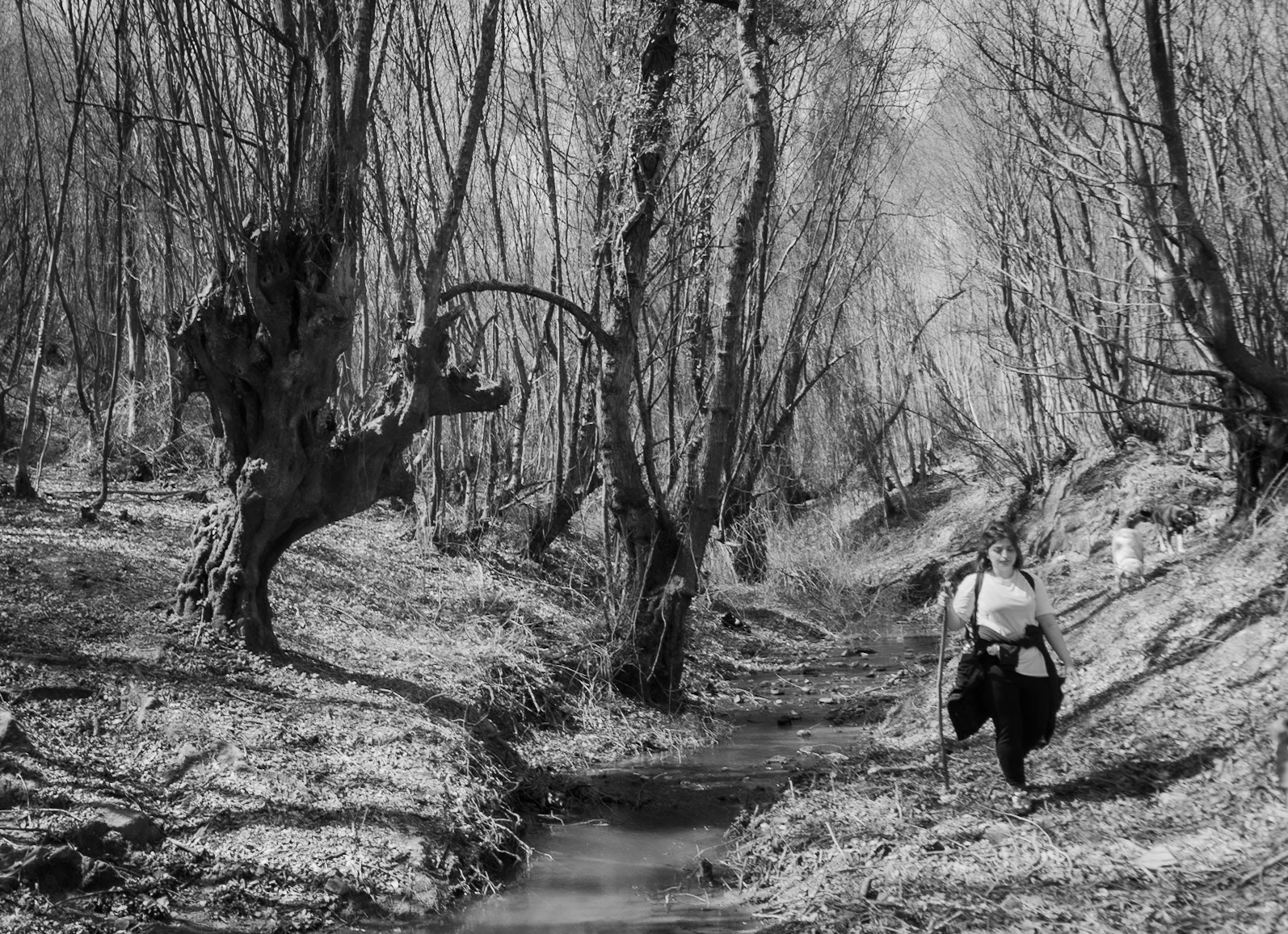 Zerzevat stream valley: walking along the valley