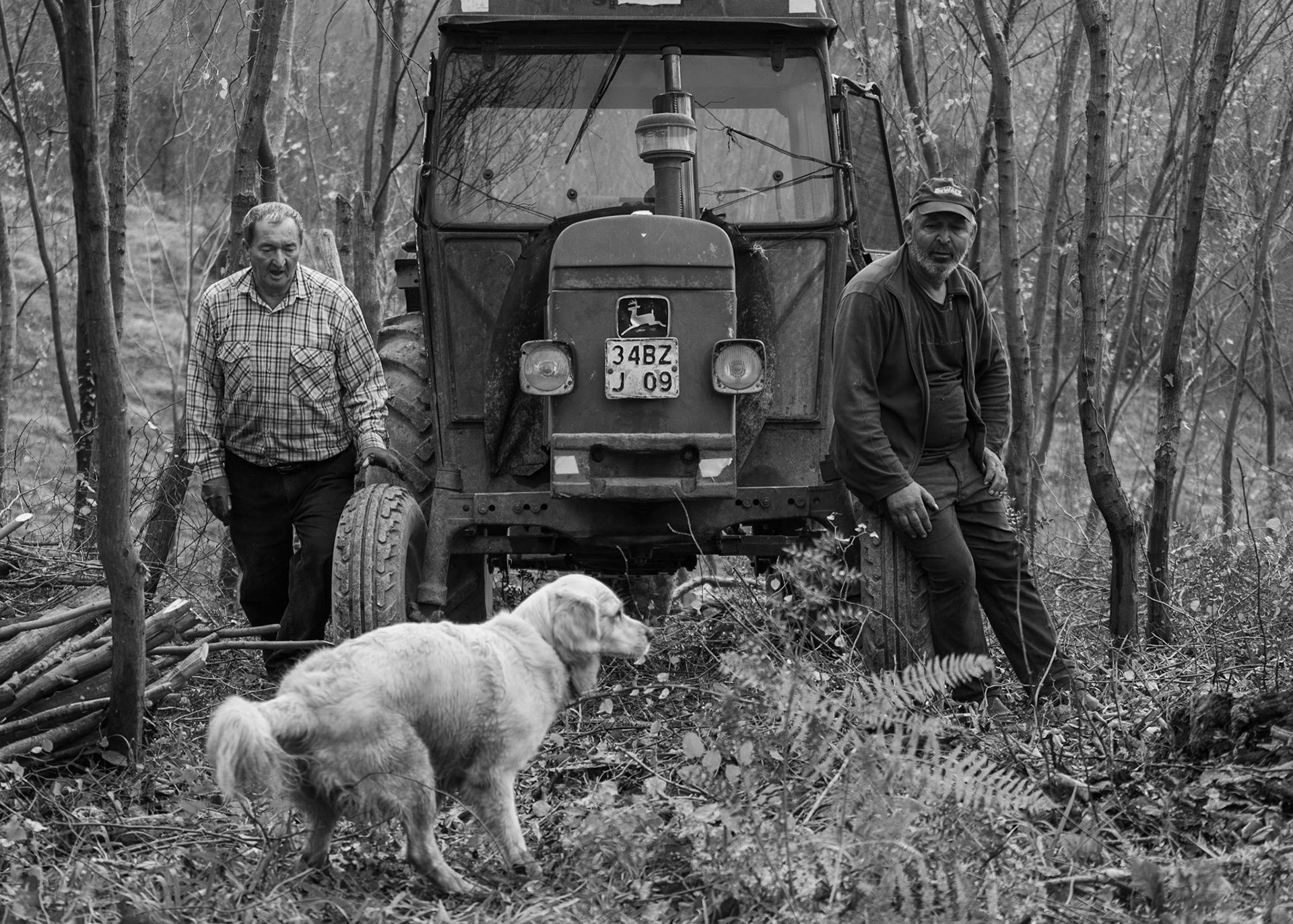 Bozhane S hill: foresters with Lucia