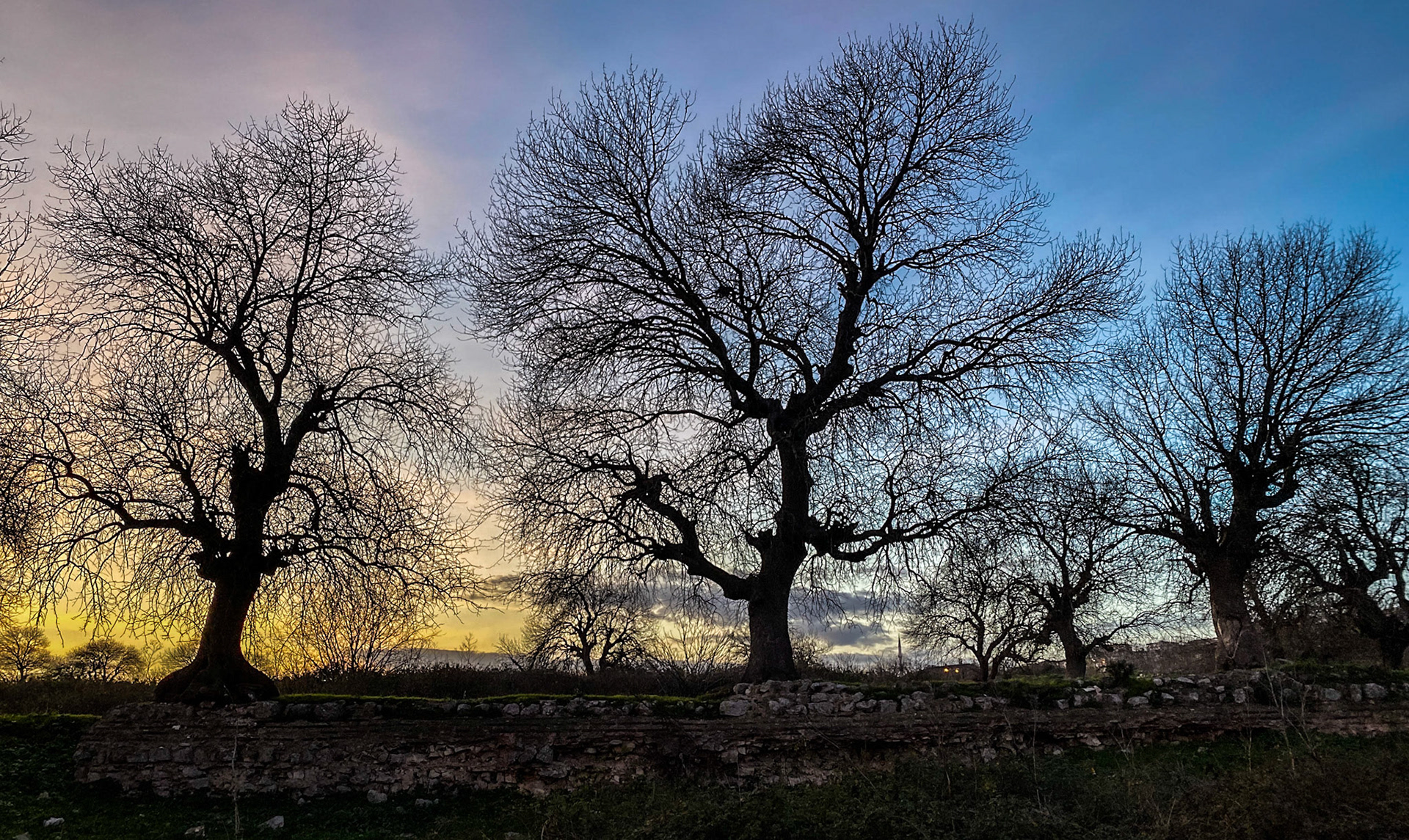ruined walls of an early Byzantine fortress, a little southwest of modern Altınşehir, part of the presumed town of Schiza: old oaks at sunset