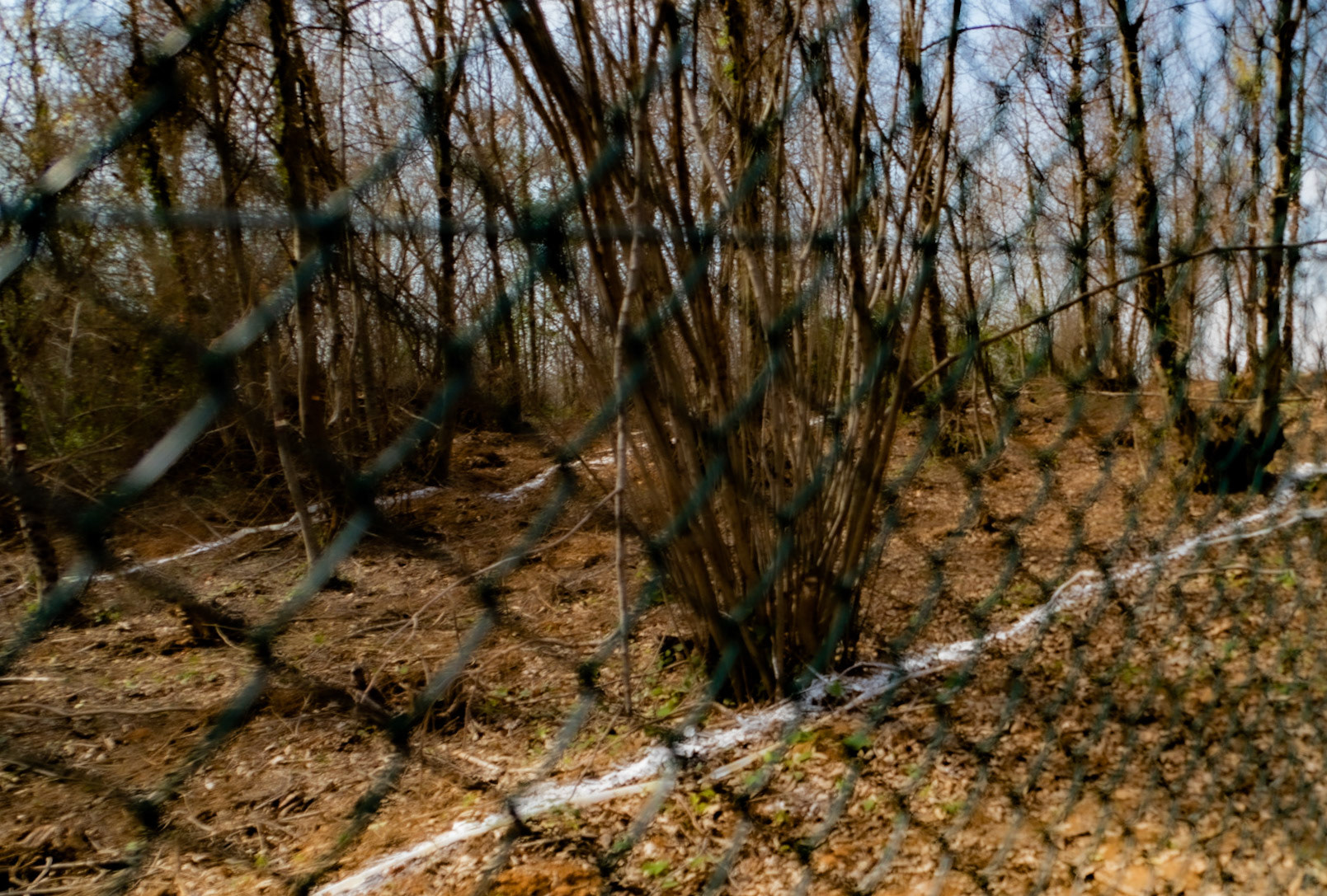 Kirazlı woods: the northern perimeter fence