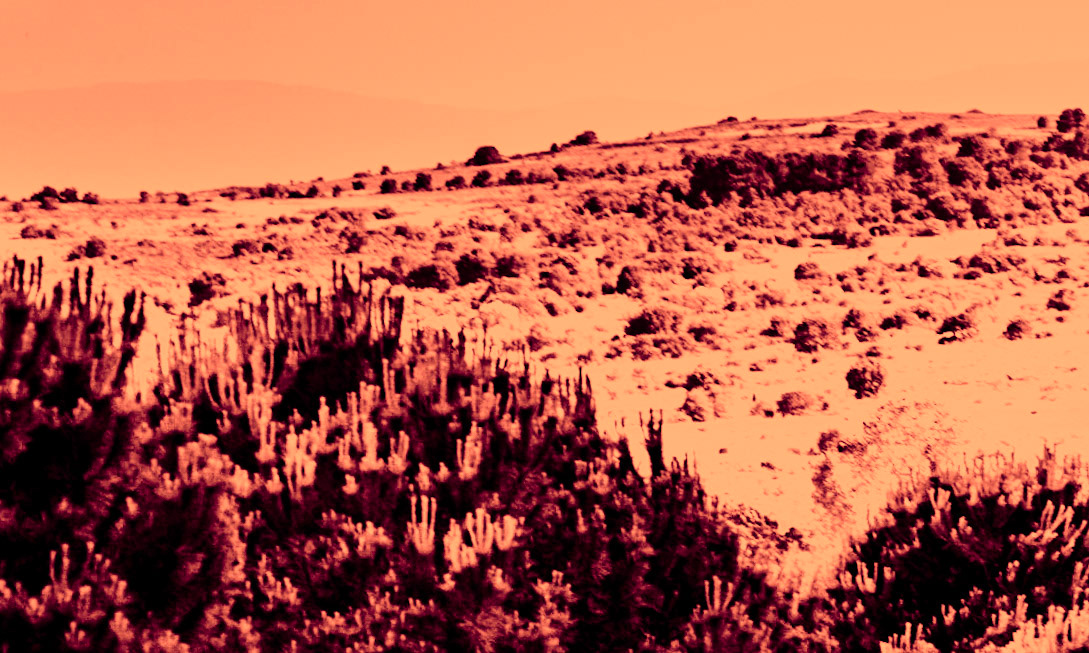 Ortadaǧ small hill: view of the large hill