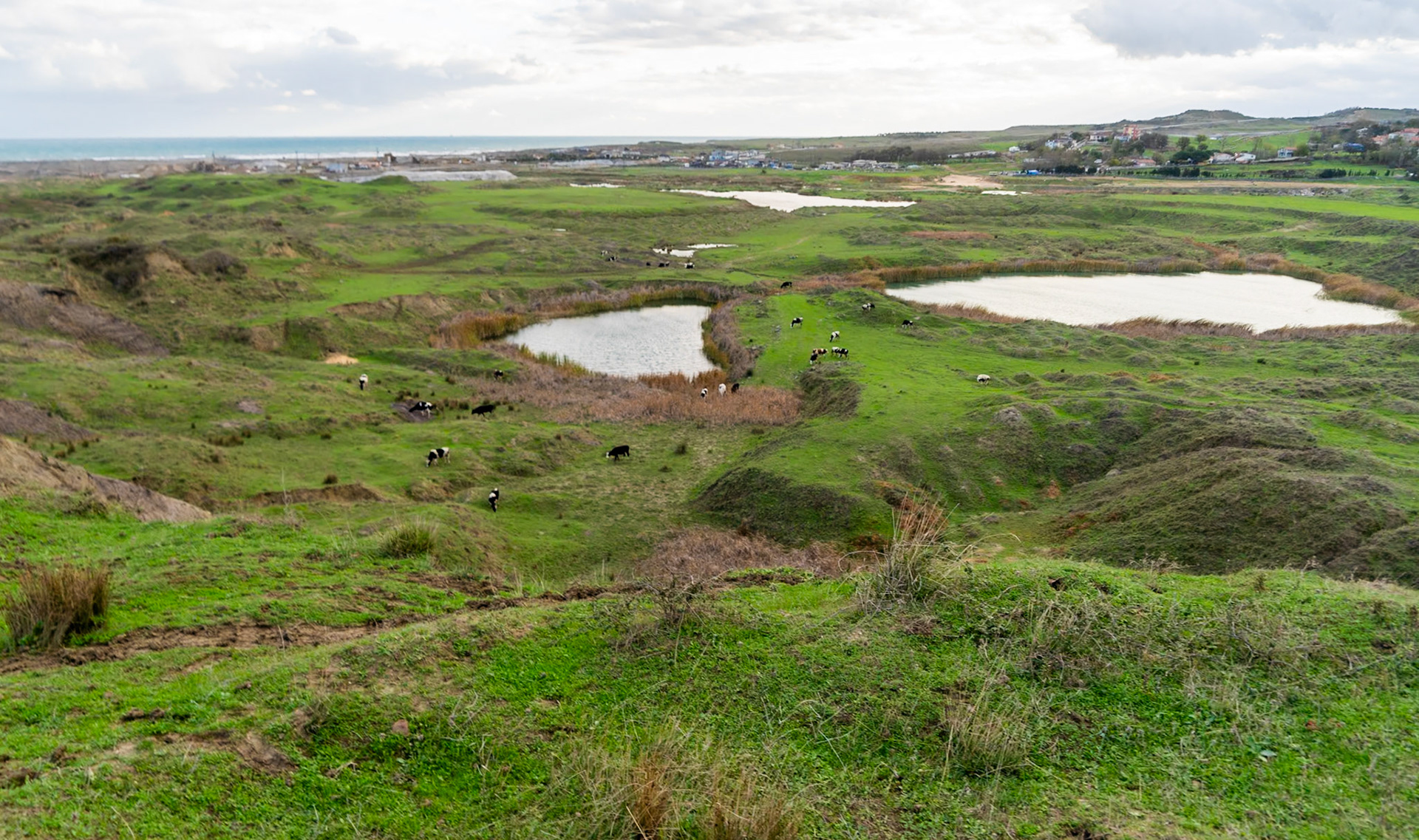 heading west from Akpınar: former mining land, now poor pasture